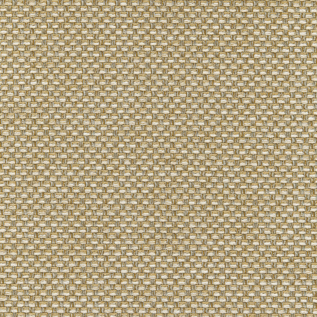 Palmetto fabric in straw color - pattern number W80230 - by Thibaut in the Kaleidoscope Fabrics collection