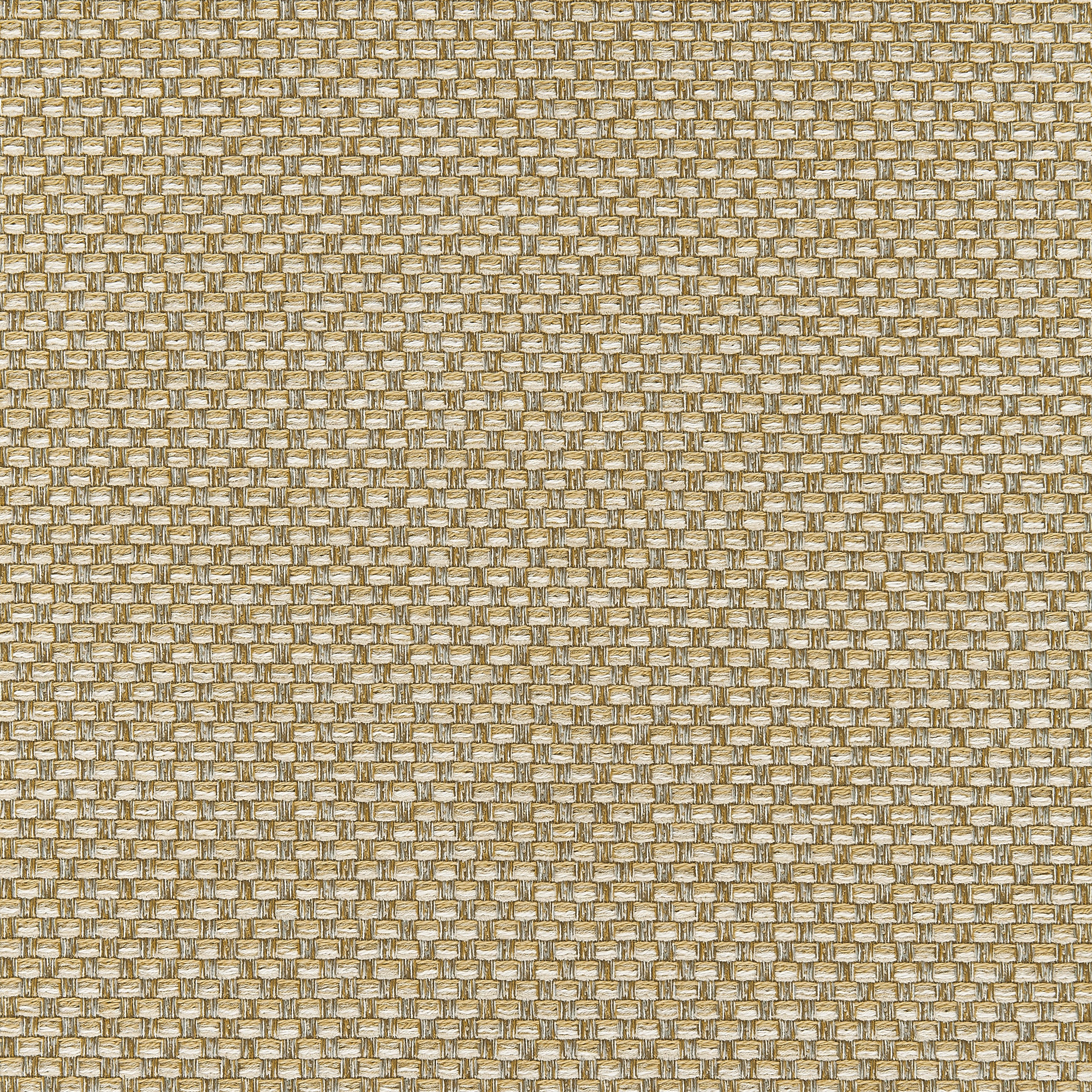 Palmetto fabric in straw color - pattern number W80230 - by Thibaut in the Kaleidoscope Fabrics collection