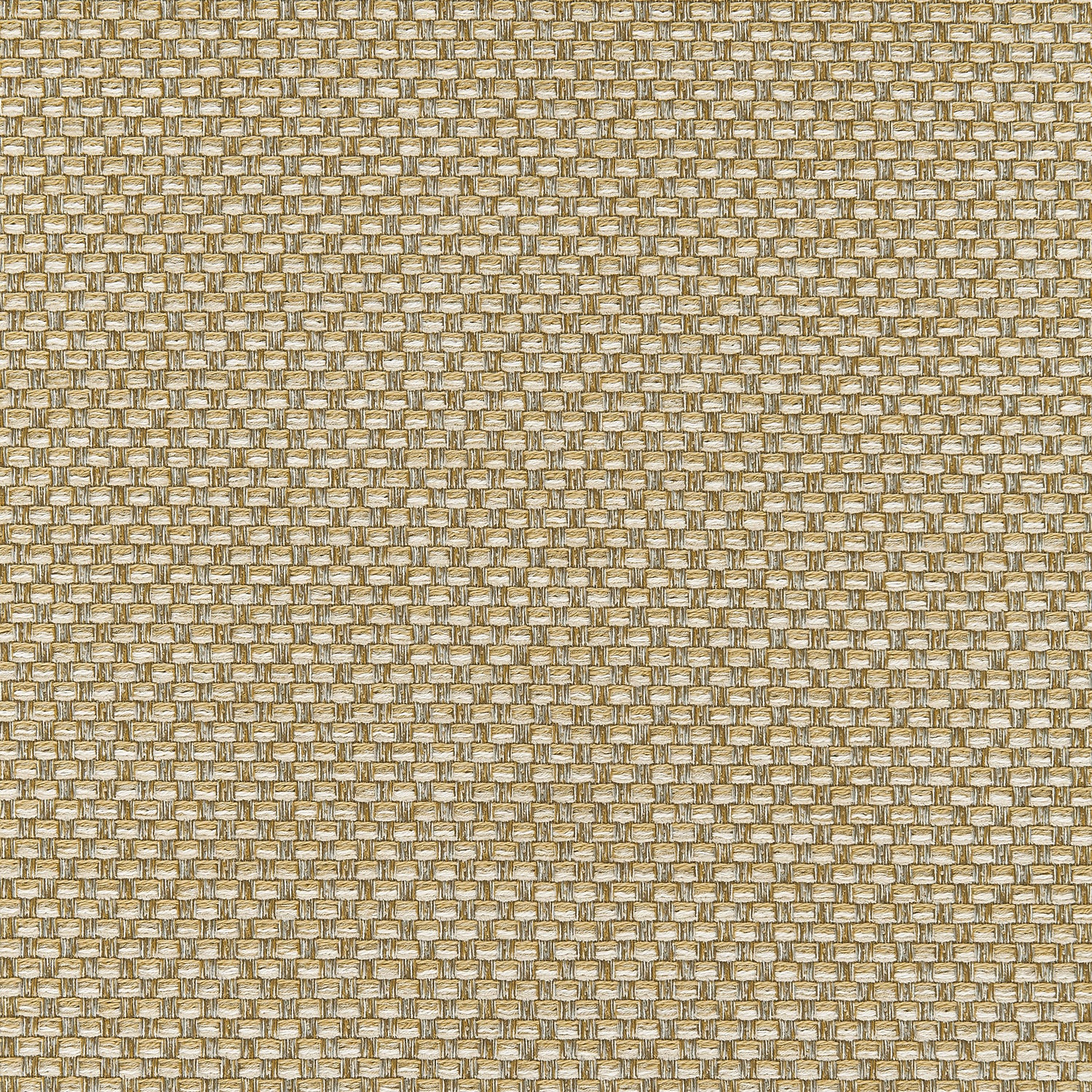 Palmetto fabric in straw color - pattern number W80230 - by Thibaut in the Kaleidoscope Fabrics collection