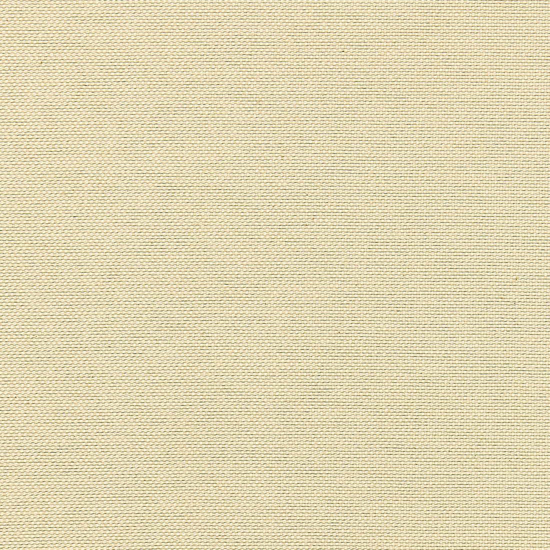 Emery fabric in oatmeal color - pattern number W80264 - by Thibaut in the Kaleidoscope Fabrics collection