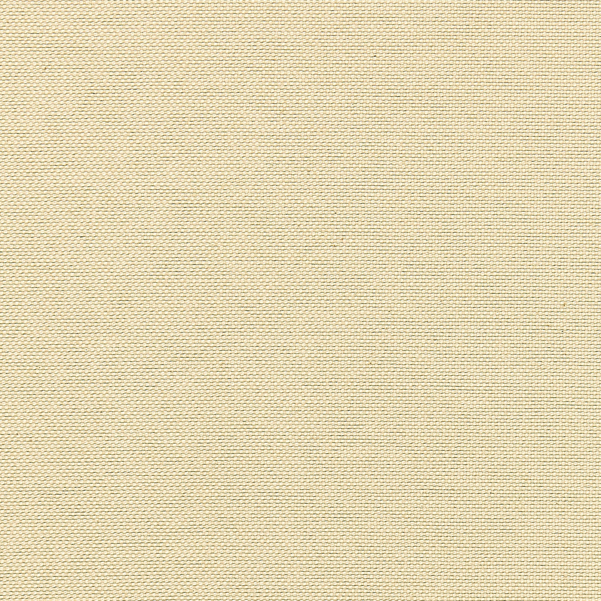 Emery fabric in oatmeal color - pattern number W80264 - by Thibaut in the Kaleidoscope Fabrics collection