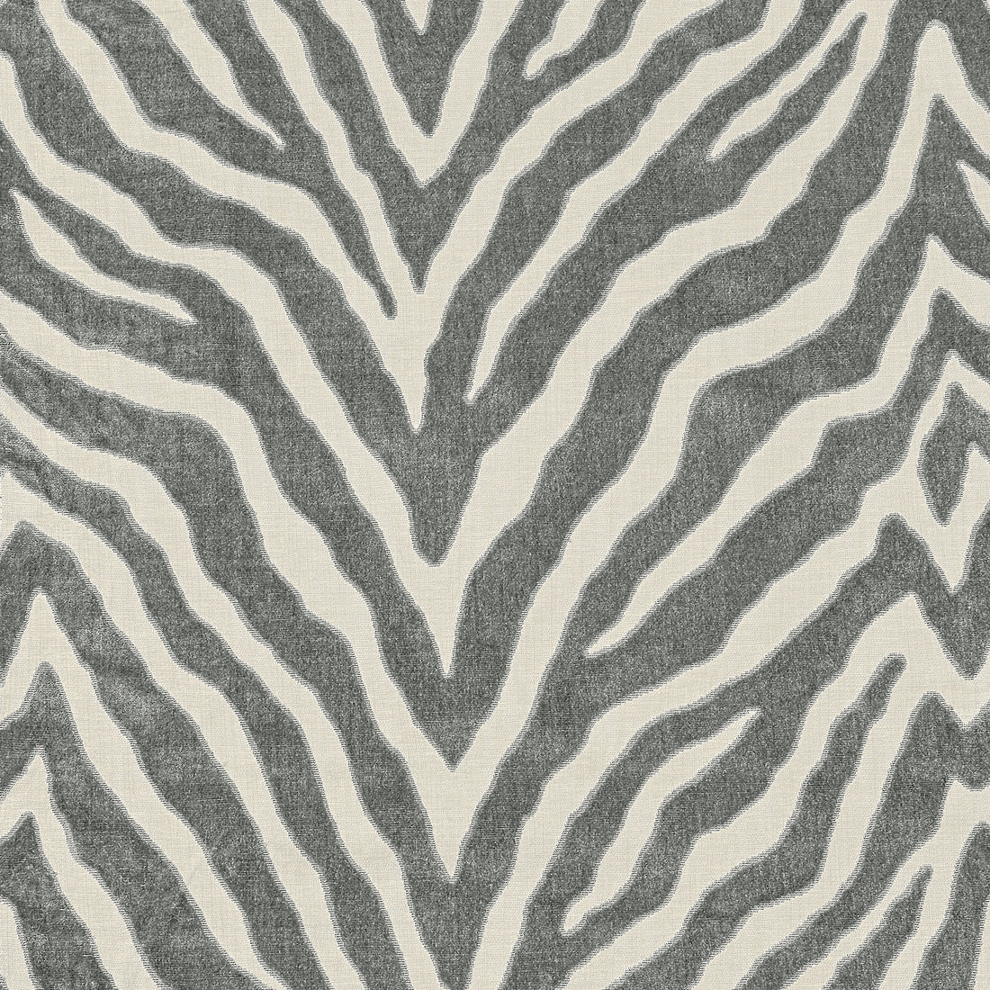 Etosha Velvet fabric in graphite color - pattern number W80404 - by Thibaut in the Woven Resource Vol 10 Menagerie collection