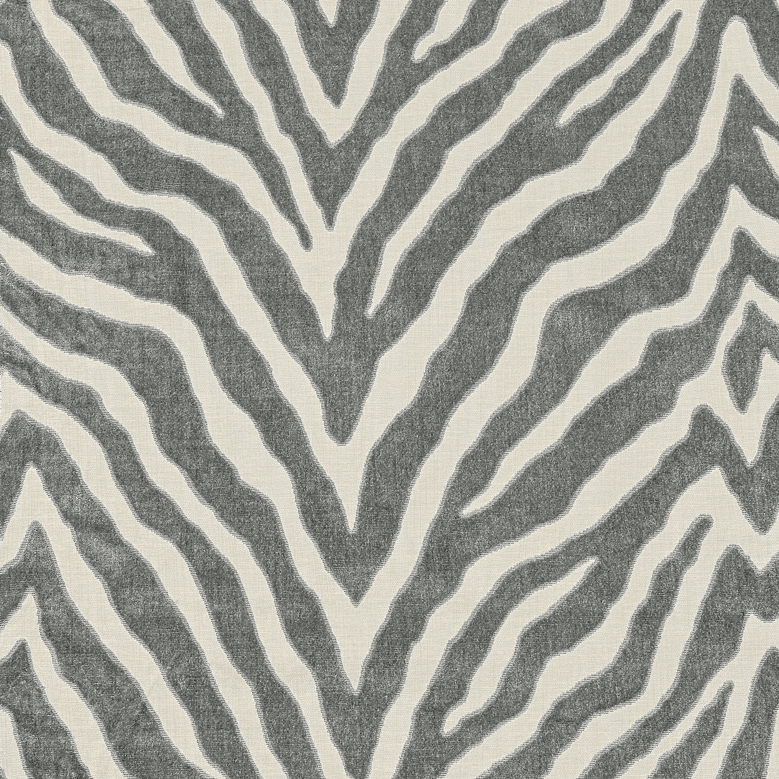 Etosha Velvet fabric in graphite color - pattern number W80404 - by Thibaut in the Woven Resource Vol 10 Menagerie collection