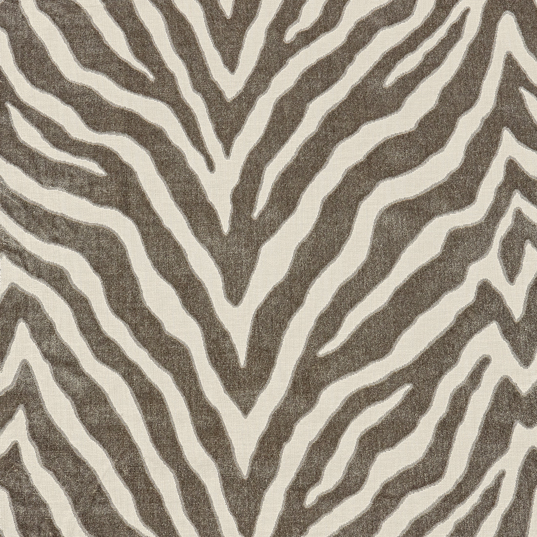 Etosha Velvet fabric in taupe color - pattern number W80405 - by Thibaut in the Woven Resource Vol 10 Menagerie collection