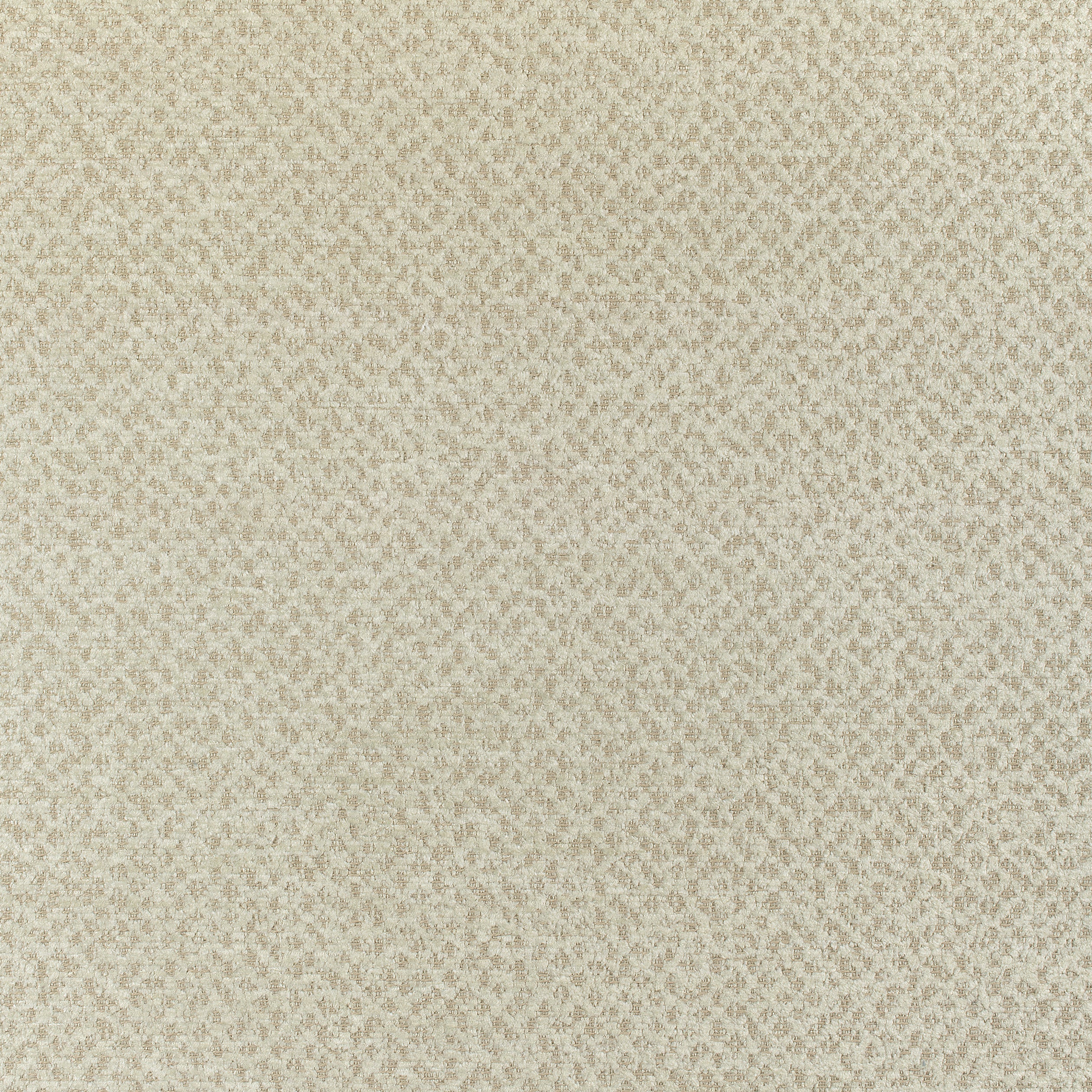 Gryffin fabric in flax color - pattern number W80410 - by Thibaut in the Mosaic collection