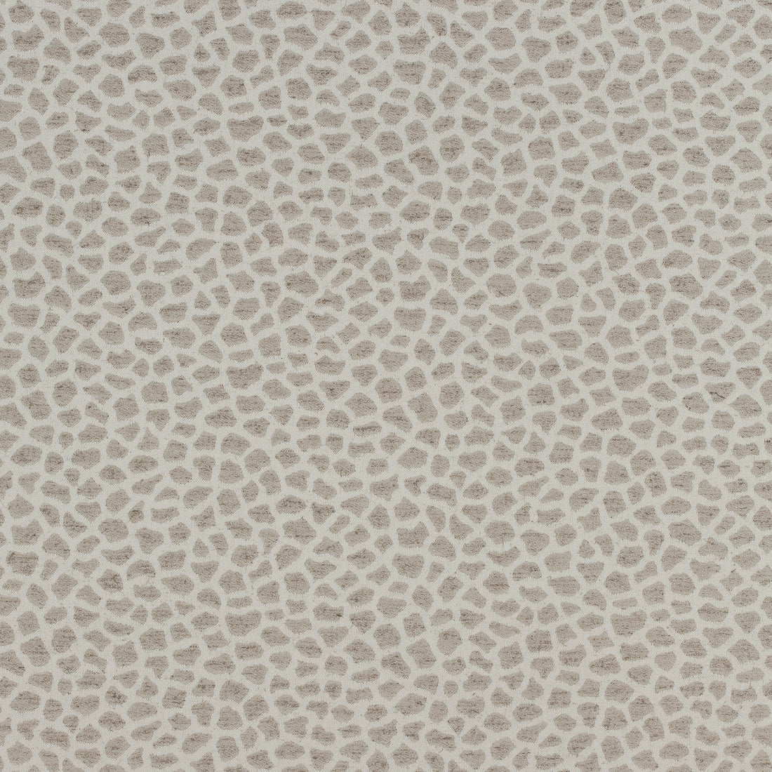 Masai fabric in taupe color - pattern number W80423 - by Thibaut in the Woven Resource Vol 10 Menagerie collection