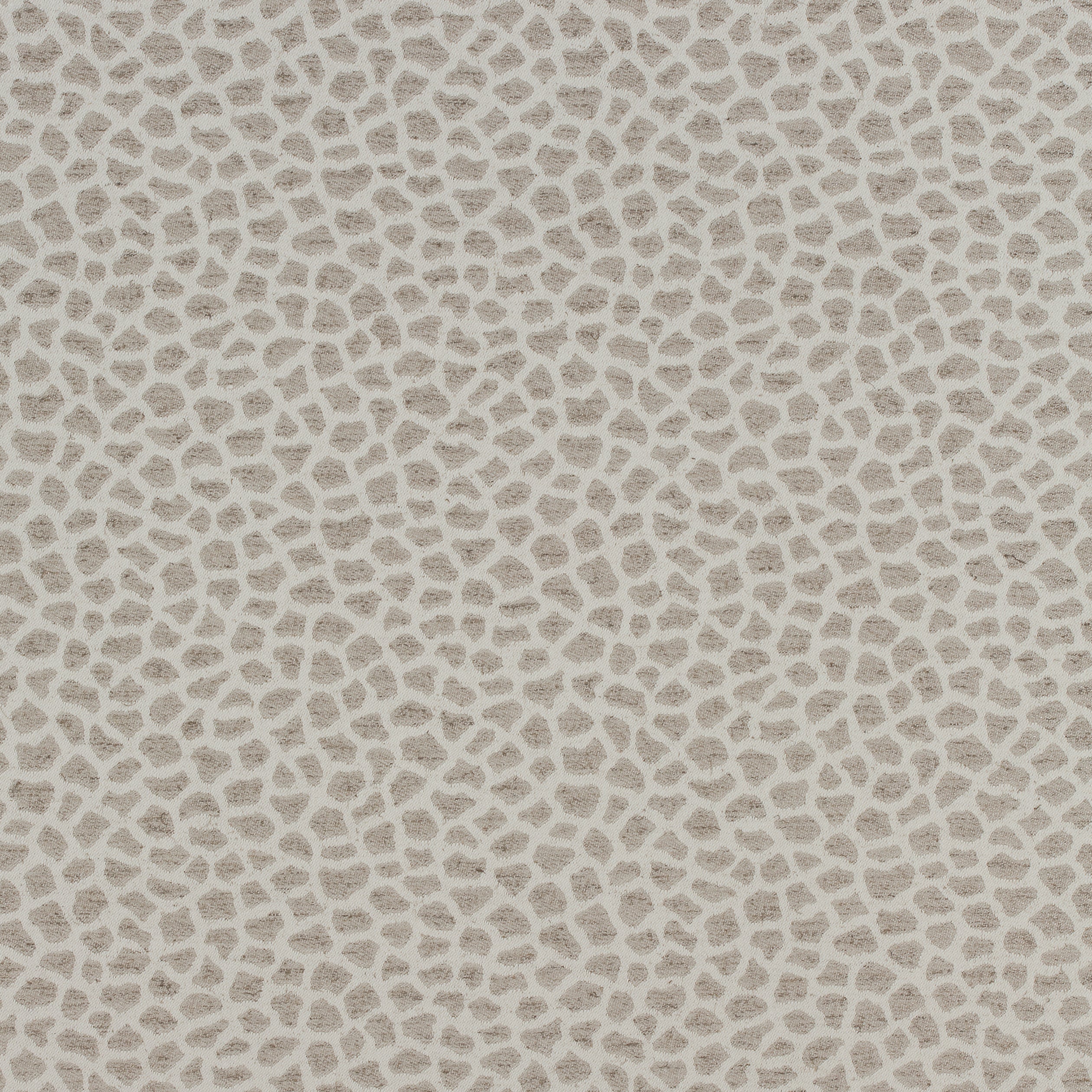 Masai fabric in taupe color - pattern number W80423 - by Thibaut in the Woven Resource Vol 10 Menagerie collection