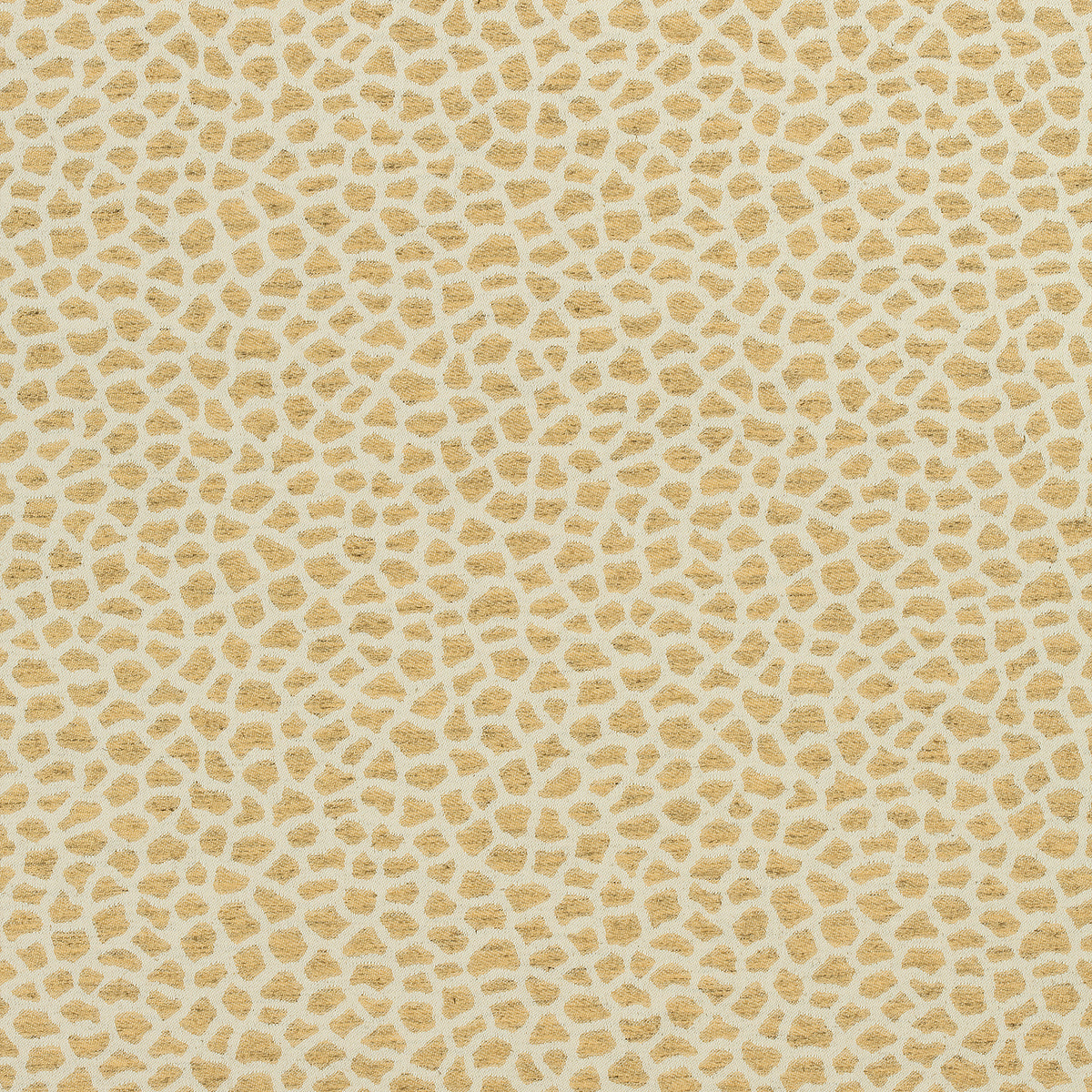 Masai fabric in saffron color - pattern number W80425 - by Thibaut in the Woven Resource Vol 10 Menagerie collection
