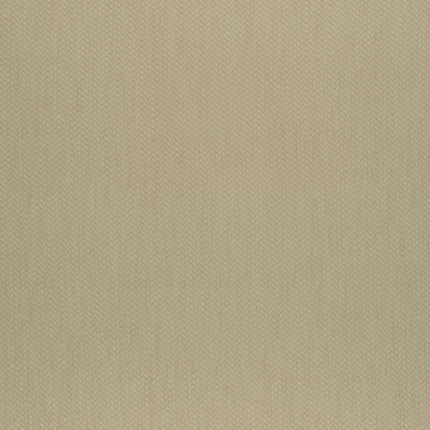 Orion fabric in sand color - pattern number W80474 - by Thibaut in the Mosaic collection