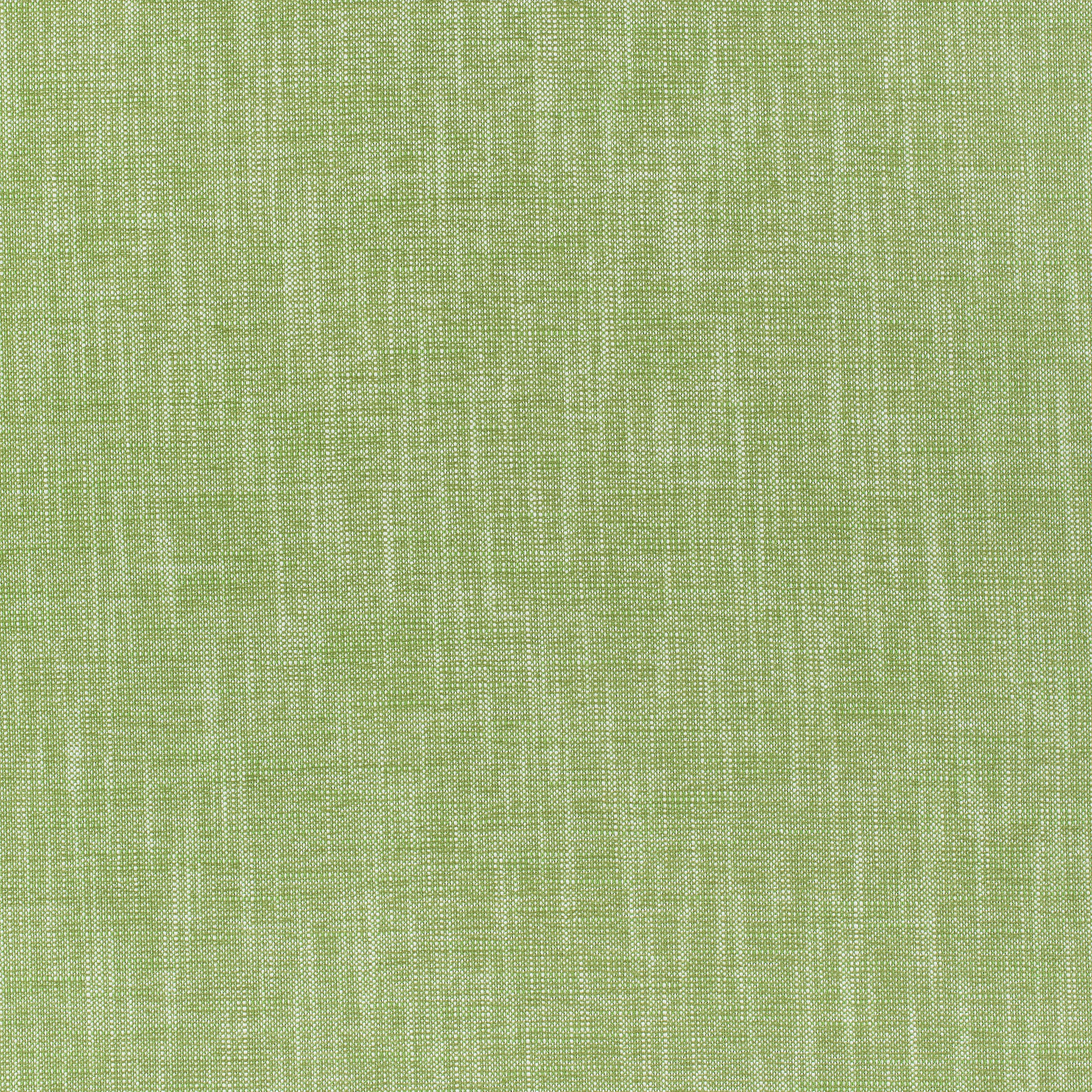 Bailey fabric in grass color - pattern number W80499 - by Thibaut in the Mosaic collection