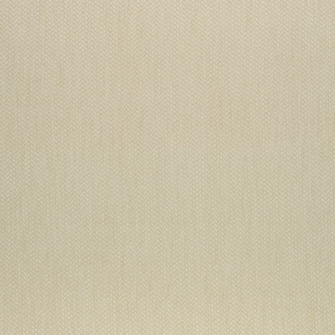 Orion fabric in honey color - pattern number W80505 - by Thibaut in the Mosaic collection