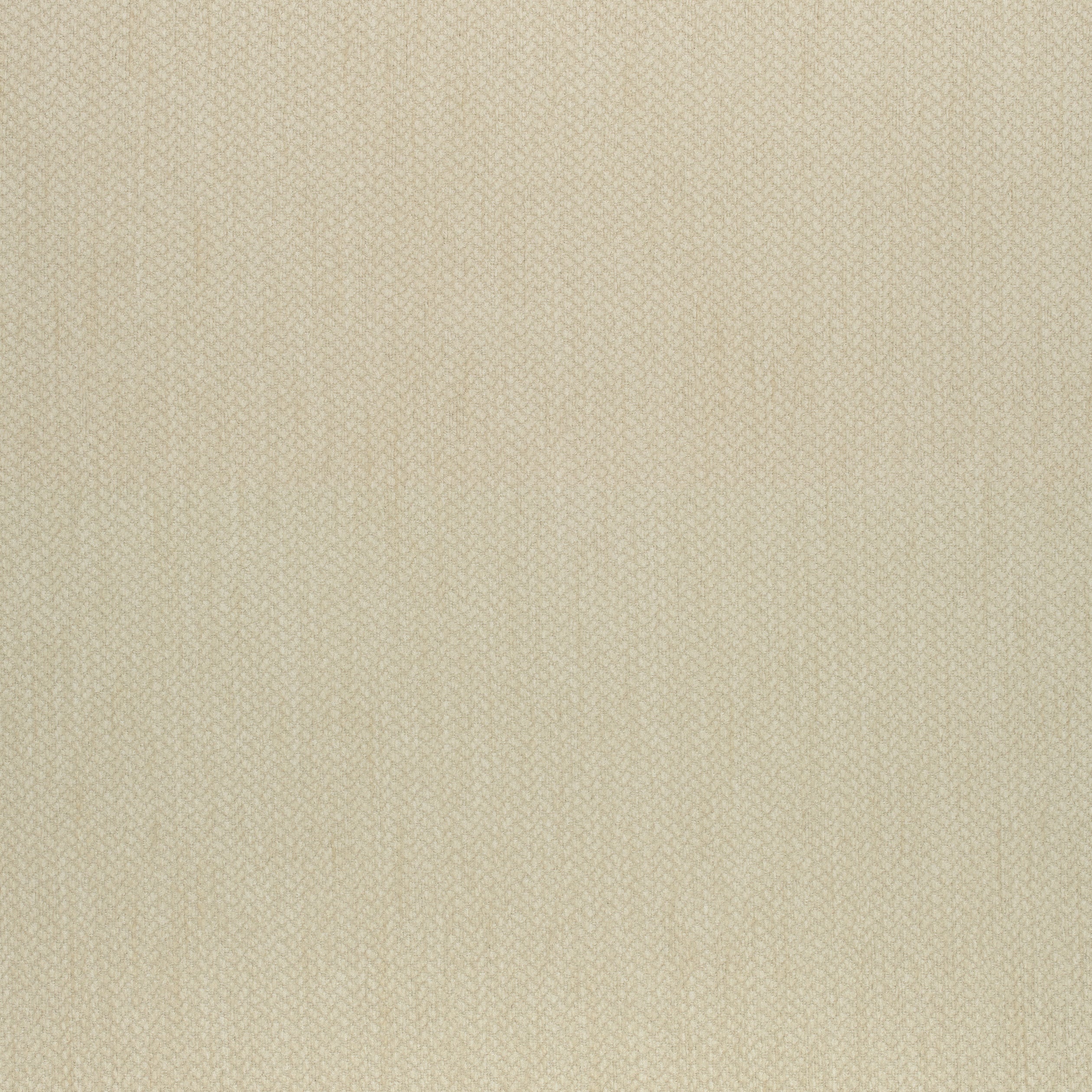 Orion fabric in honey color - pattern number W80505 - by Thibaut in the Mosaic collection