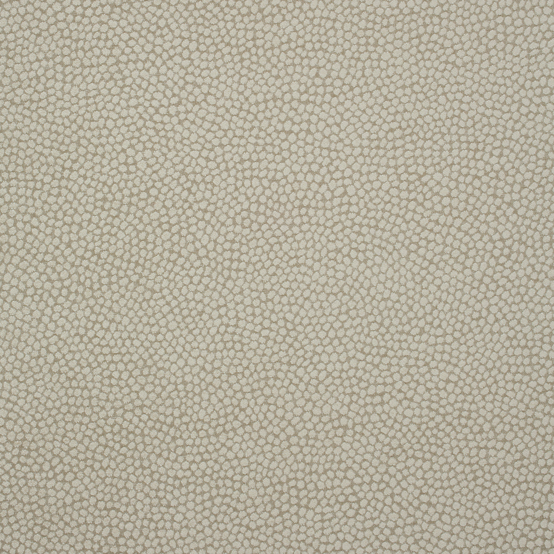 Kali fabric in flax color - pattern number W80516 - by Thibaut in the Mosaic collection