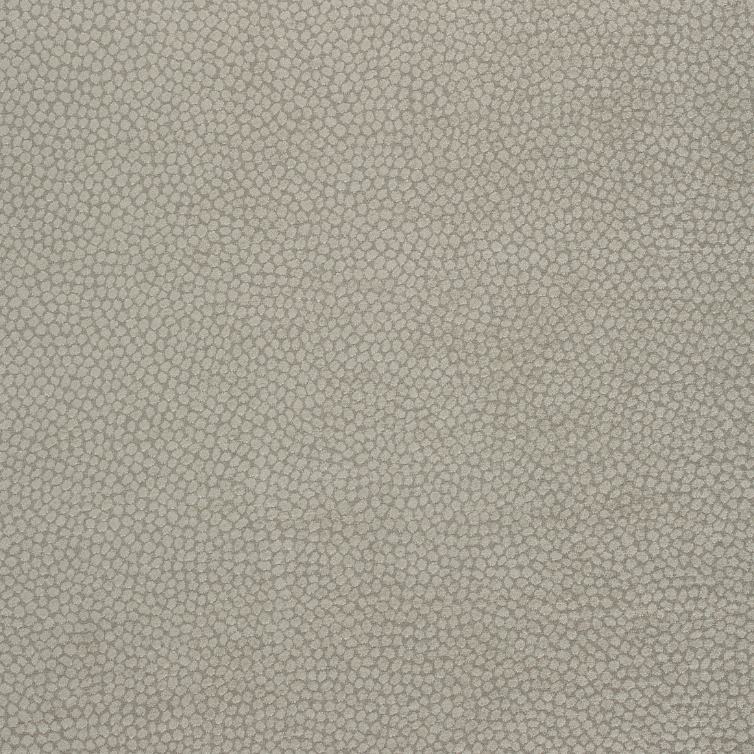 Kali fabric in stone color - pattern number W80518 - by Thibaut in the Mosaic collection