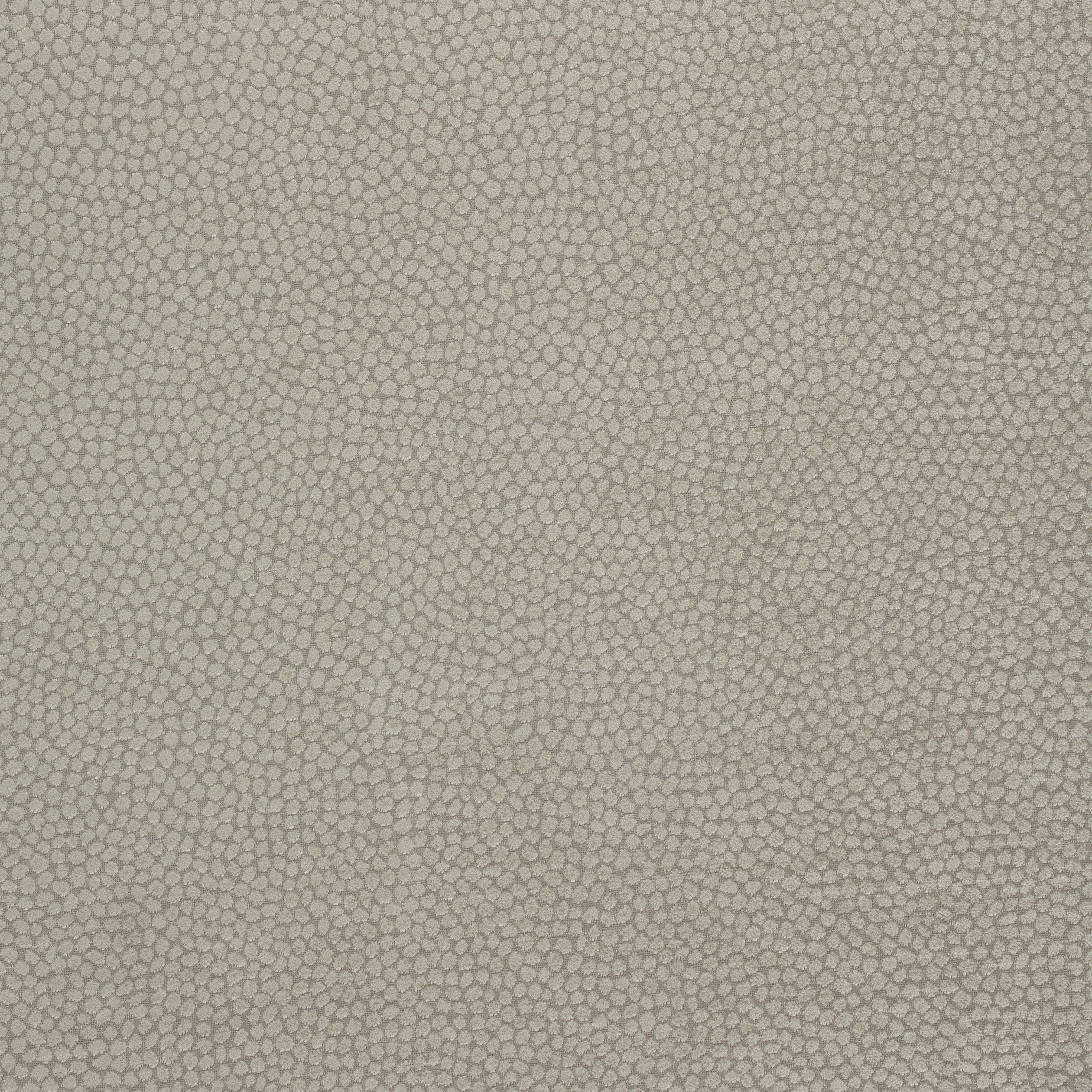 Kali fabric in stone color - pattern number W80518 - by Thibaut in the Mosaic collection