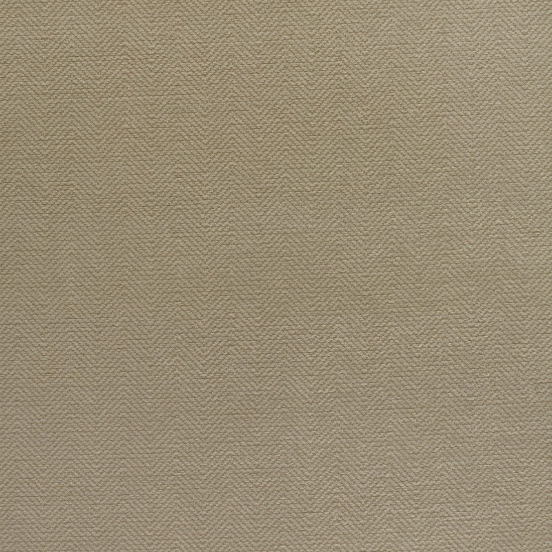 Bronwyn Herringbone fabric in tea color - pattern number W80683 - by Thibaut in the Pinnacle collection