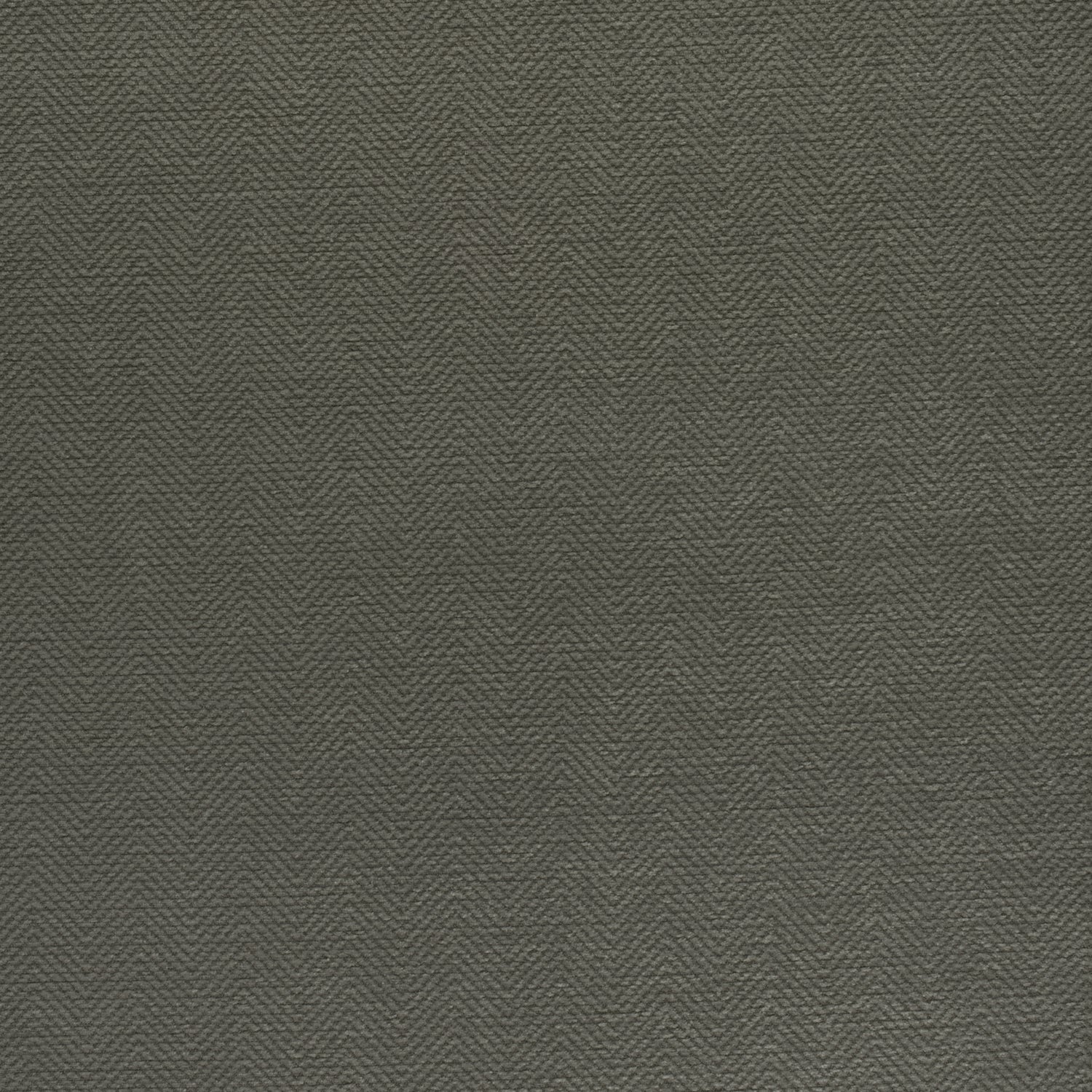 Bronwyn Herringbone fabric in charcoal color - pattern number W80685 - by Thibaut in the Pinnacle collection