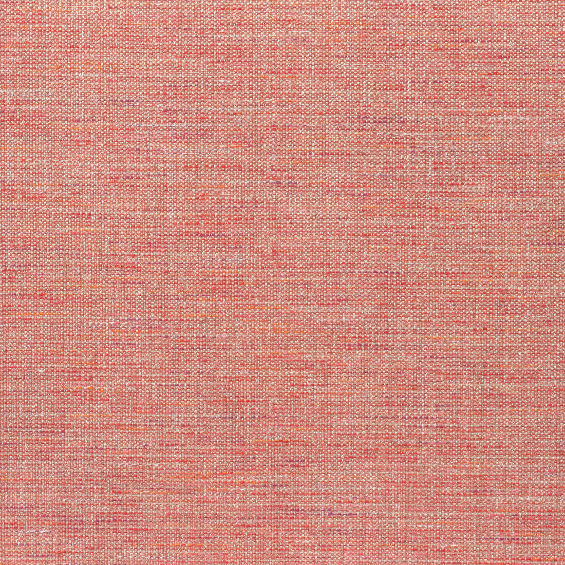Dante fabric in coral color - pattern number W80702 - by Thibaut in the Woven Resource 11: Rialto collection