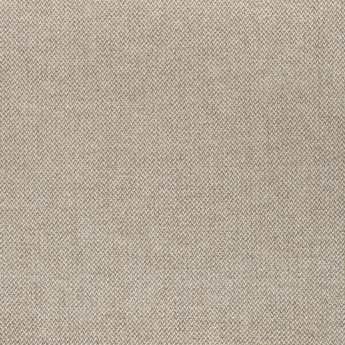 Picco fabric in sand color - pattern number W80703 - by Thibaut in the Woven Resource 11: Rialto collection