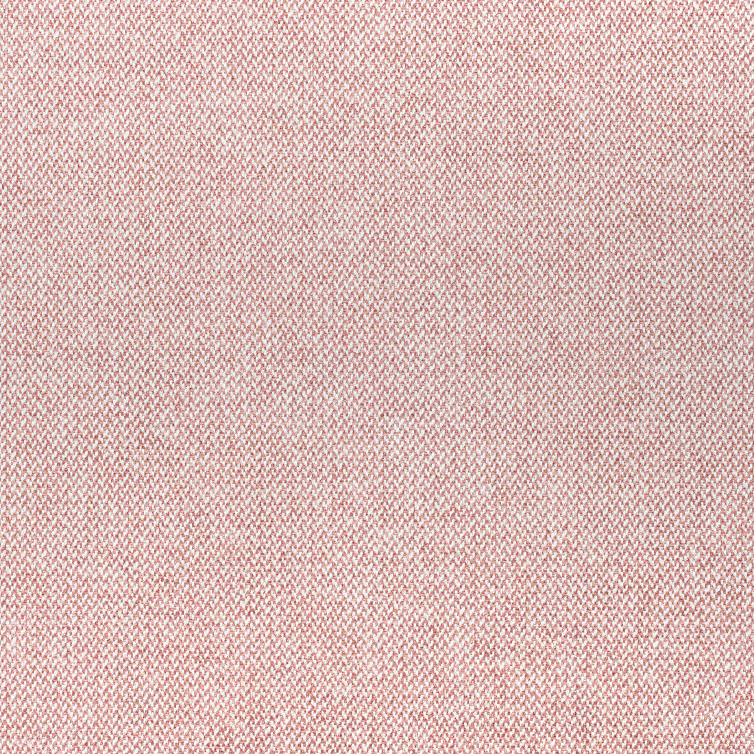Picco fabric in blush color - pattern number W80705 - by Thibaut in the Woven Resource 11: Rialto collection