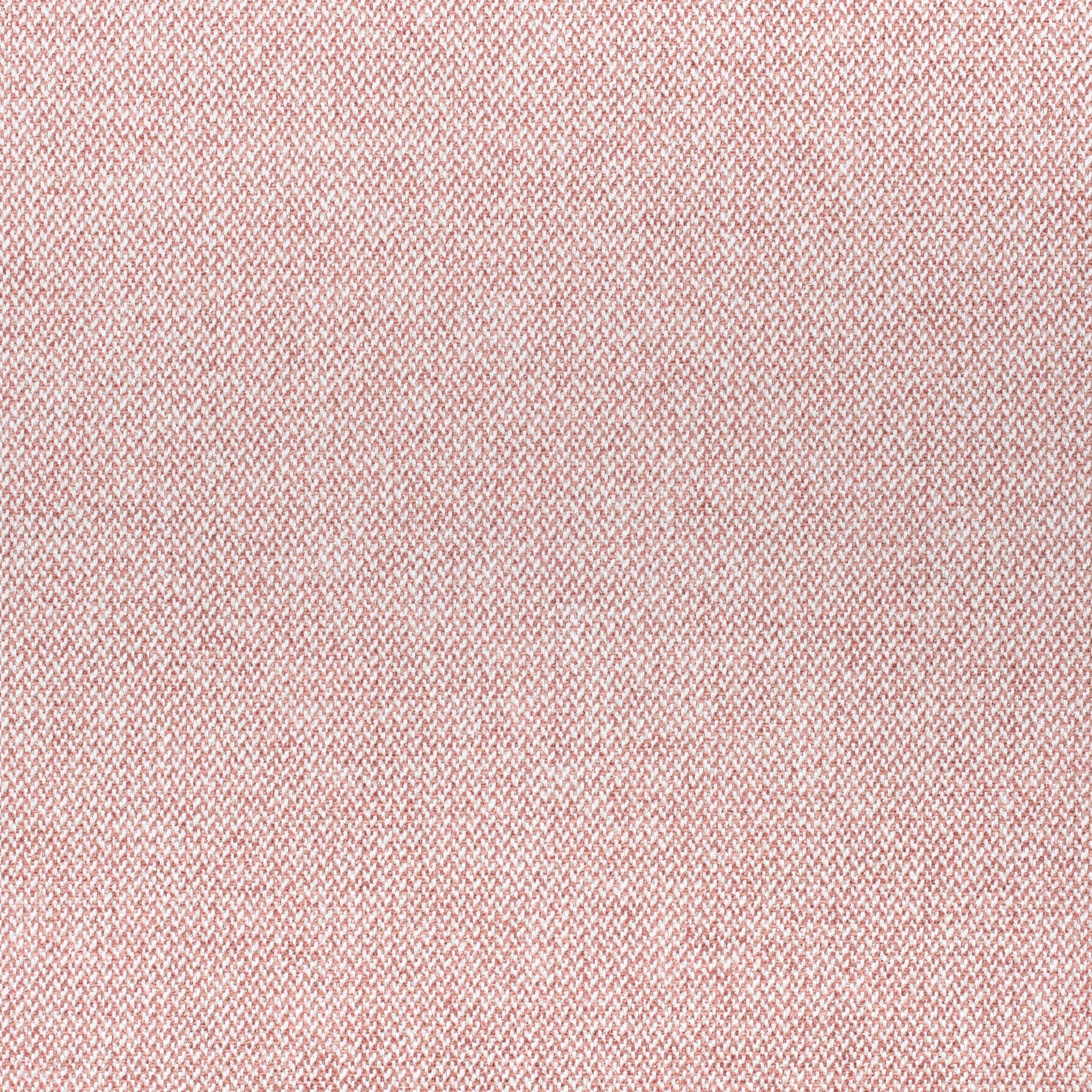 Picco fabric in blush color - pattern number W80705 - by Thibaut in the Signature Textures collection
