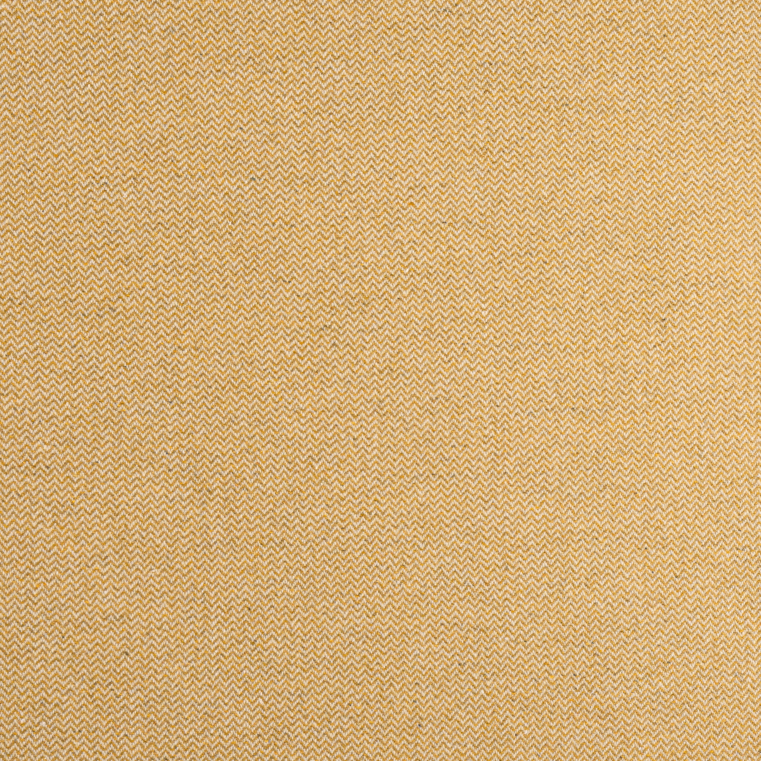 Dorset fabric in honey color - pattern number W80905 - by Thibaut in the Dunmore collection