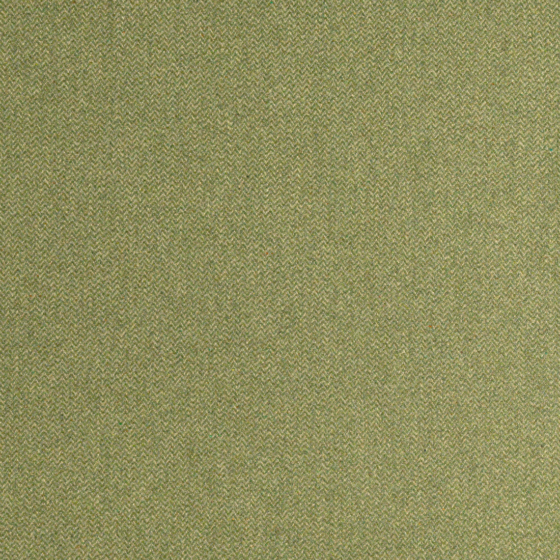 Dorset fabric in moss color - pattern number W80908 - by Thibaut in the Dunmore collection