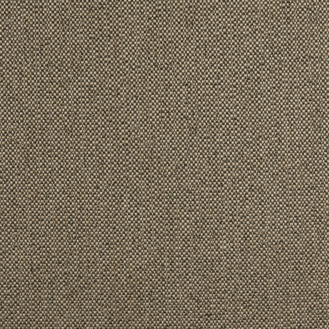 Tinta fabric in mocha color - pattern number W8129 - by Thibaut in the Sereno collection