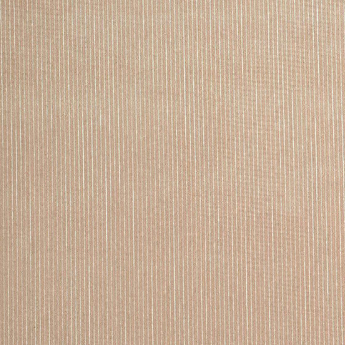 Fino Velvet fabric in cashmere color - pattern number W8149 - by Thibaut in the Sereno collection