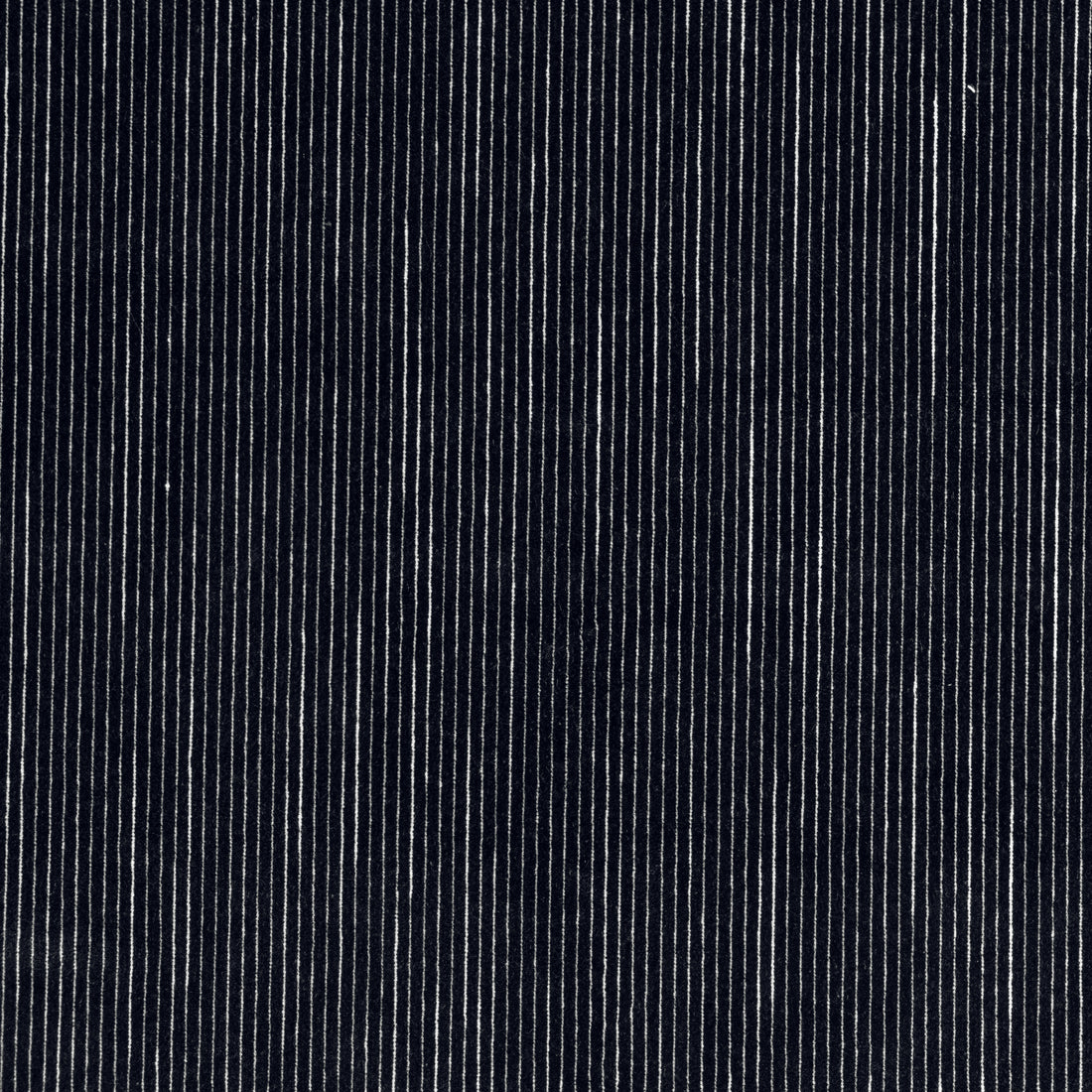 Fino Velvet fabric in charcoal color - pattern number W8151 - by Thibaut in the Sereno collection