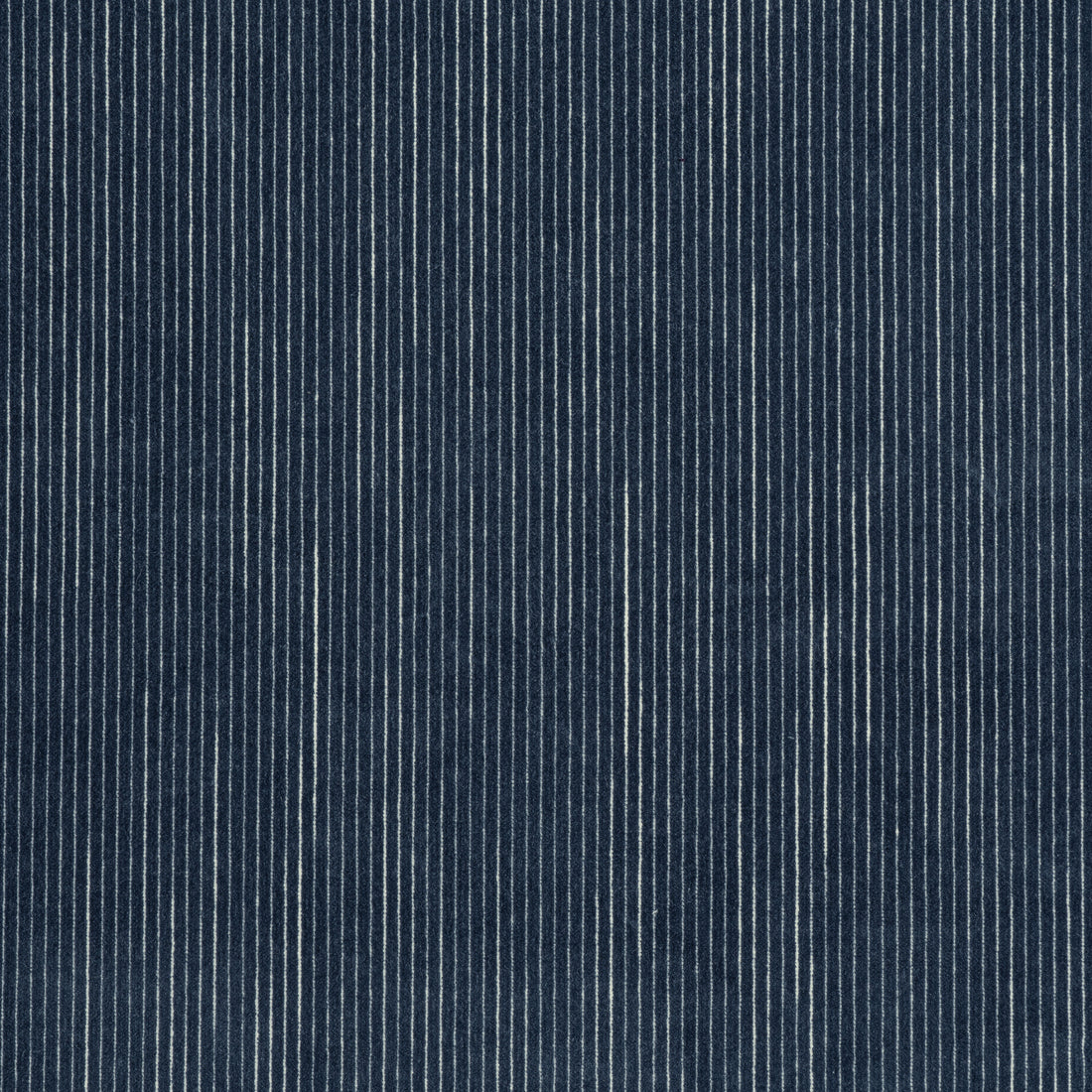 Fino Velvet fabric in navy color - pattern number W8153 - by Thibaut in the Sereno collection