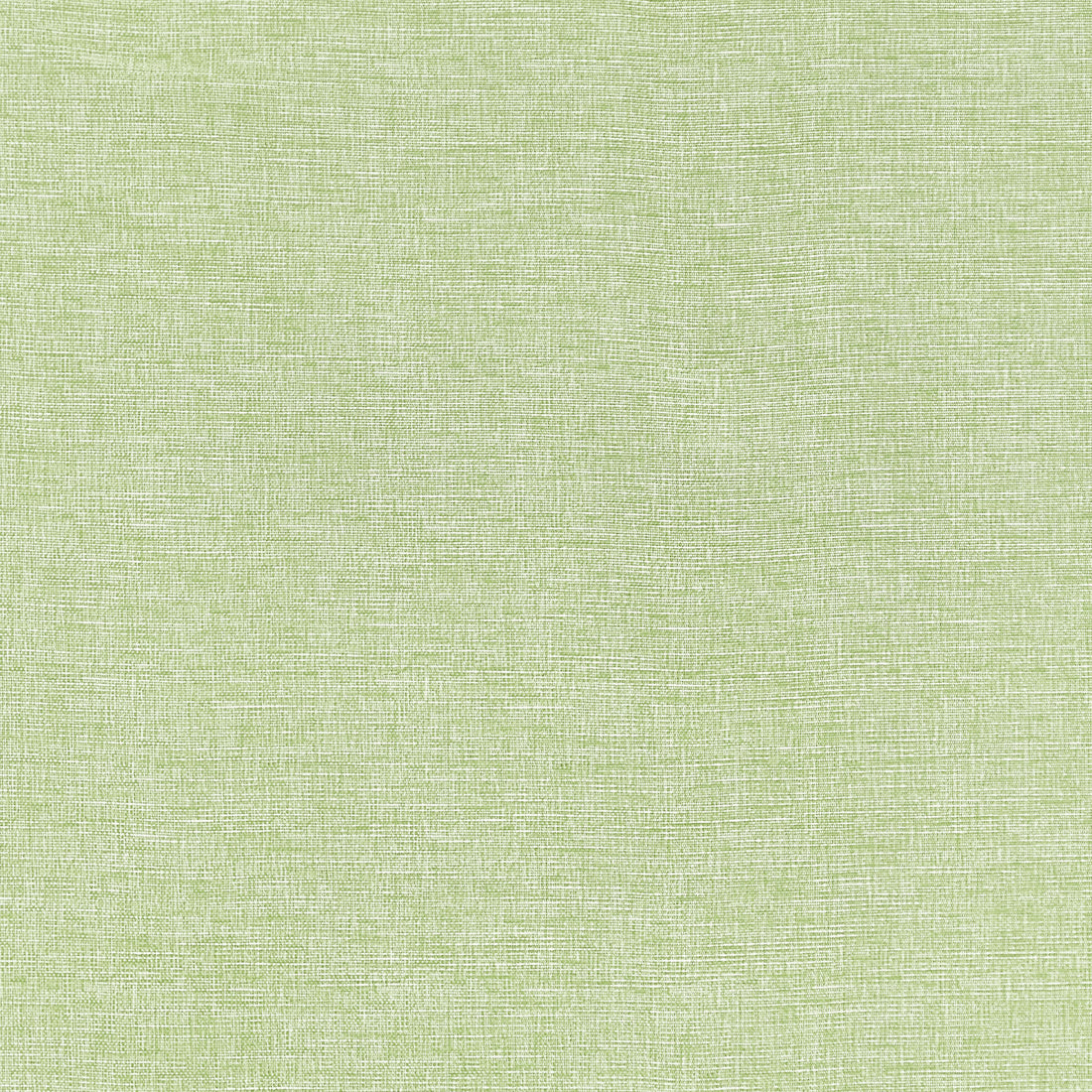 Finley fabric in willow color - pattern number W81609 - by Thibaut in the Locale collection
