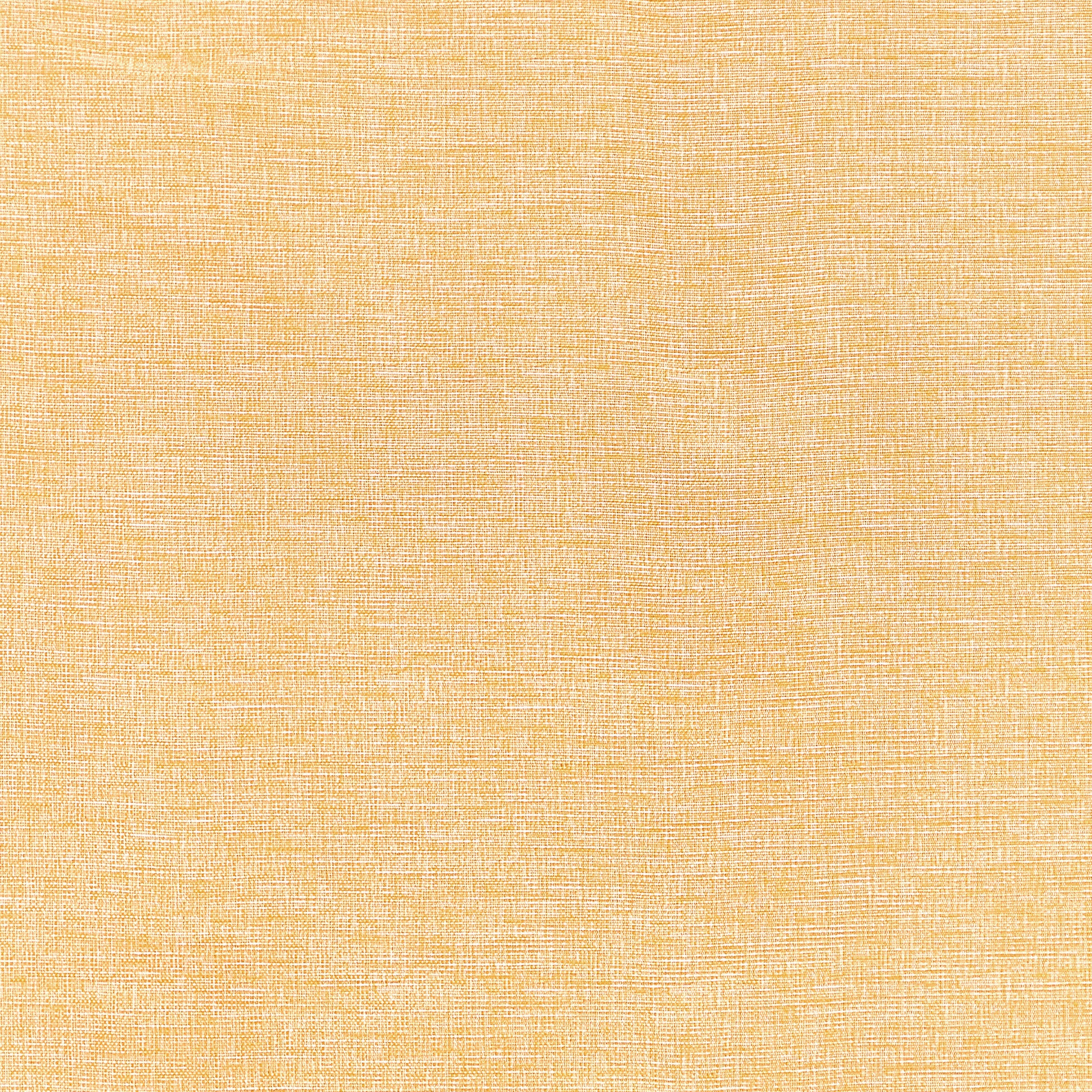 Finley fabric in daisy color - pattern number W81610 - by Thibaut in the Locale collection