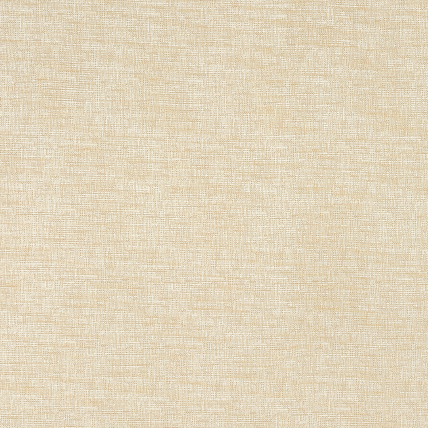 Finley fabric in flax color - pattern number W81611 - by Thibaut in the Locale collection