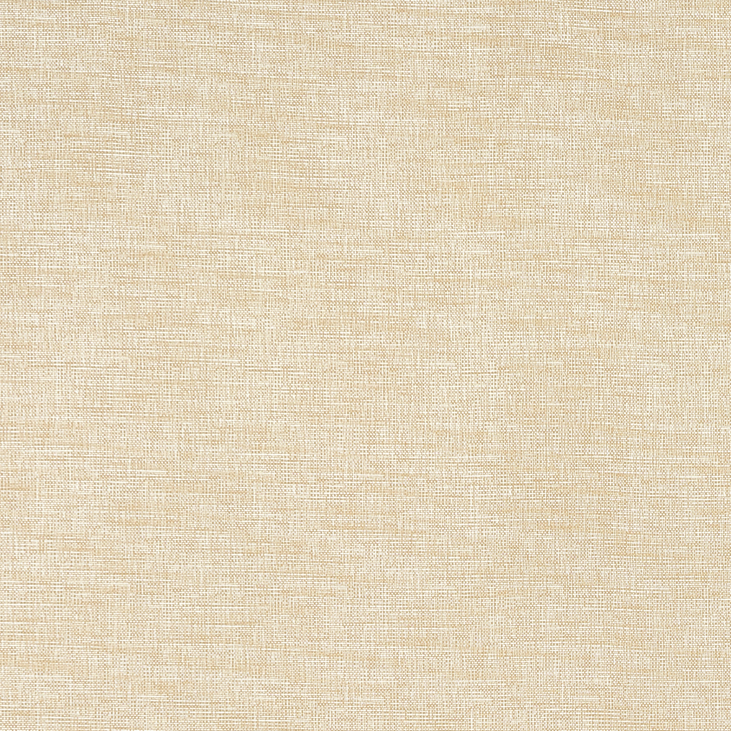 Finley fabric in flax color - pattern number W81611 - by Thibaut in the Locale collection