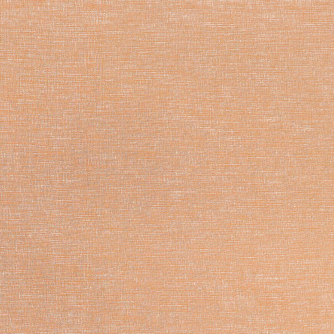 Finley fabric in marmalade color - pattern number W81612 - by Thibaut in the Locale collection