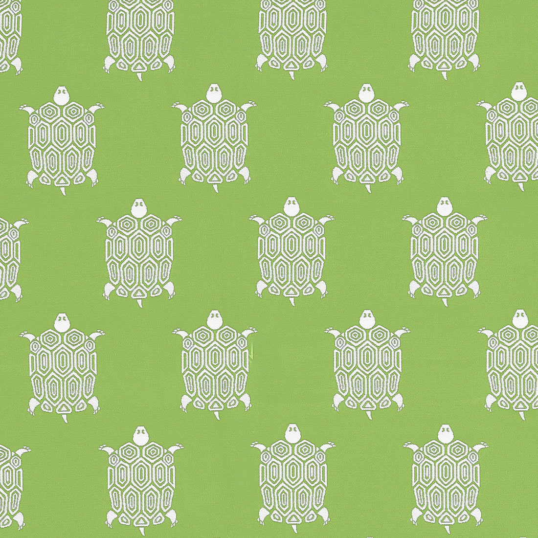 Turtle Bay fabric in kiwi color - pattern number W81624 - by Thibaut in the Locale collection