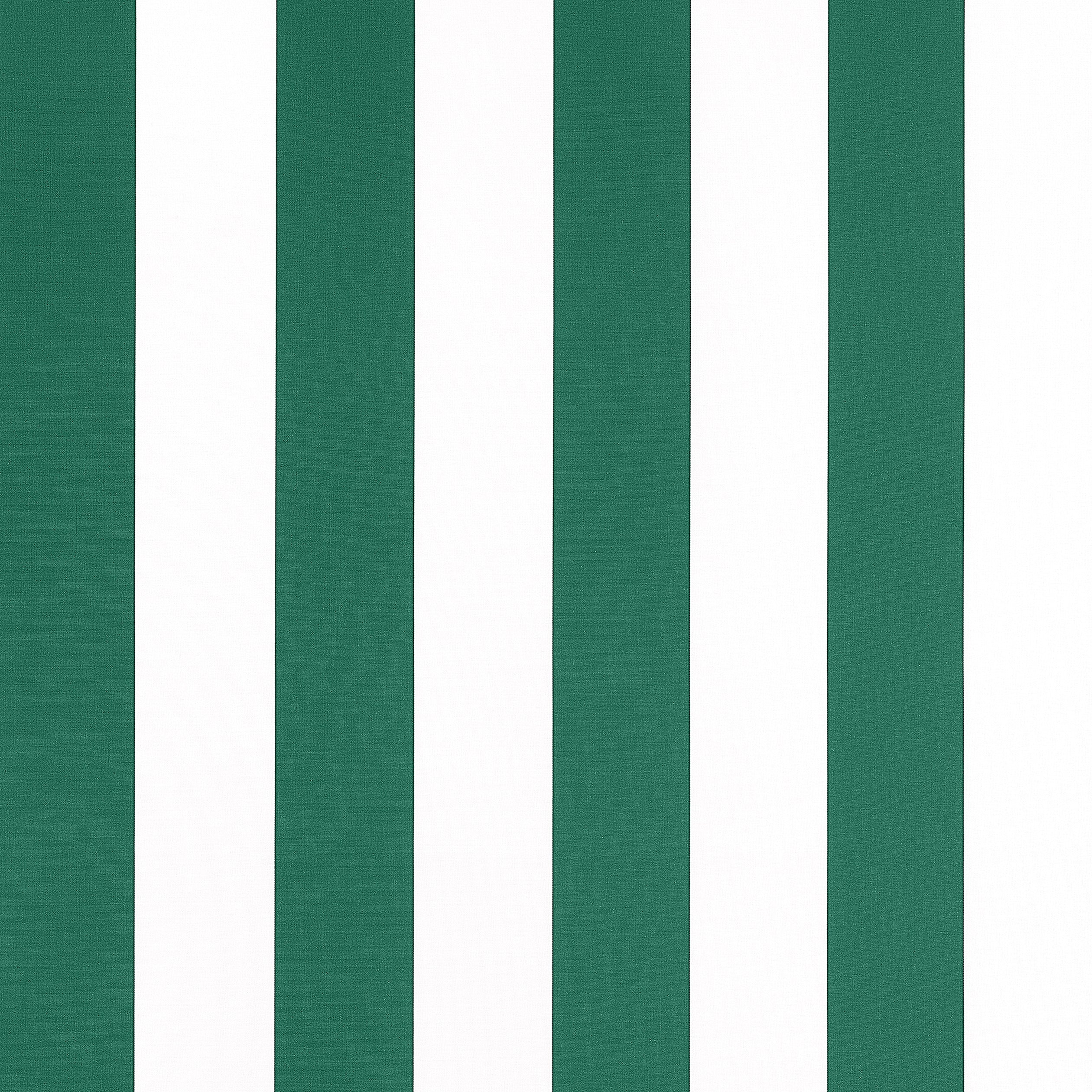 Cabana Stripe fabric in forest color - pattern number W81637 - by Thibaut in the Locale collection