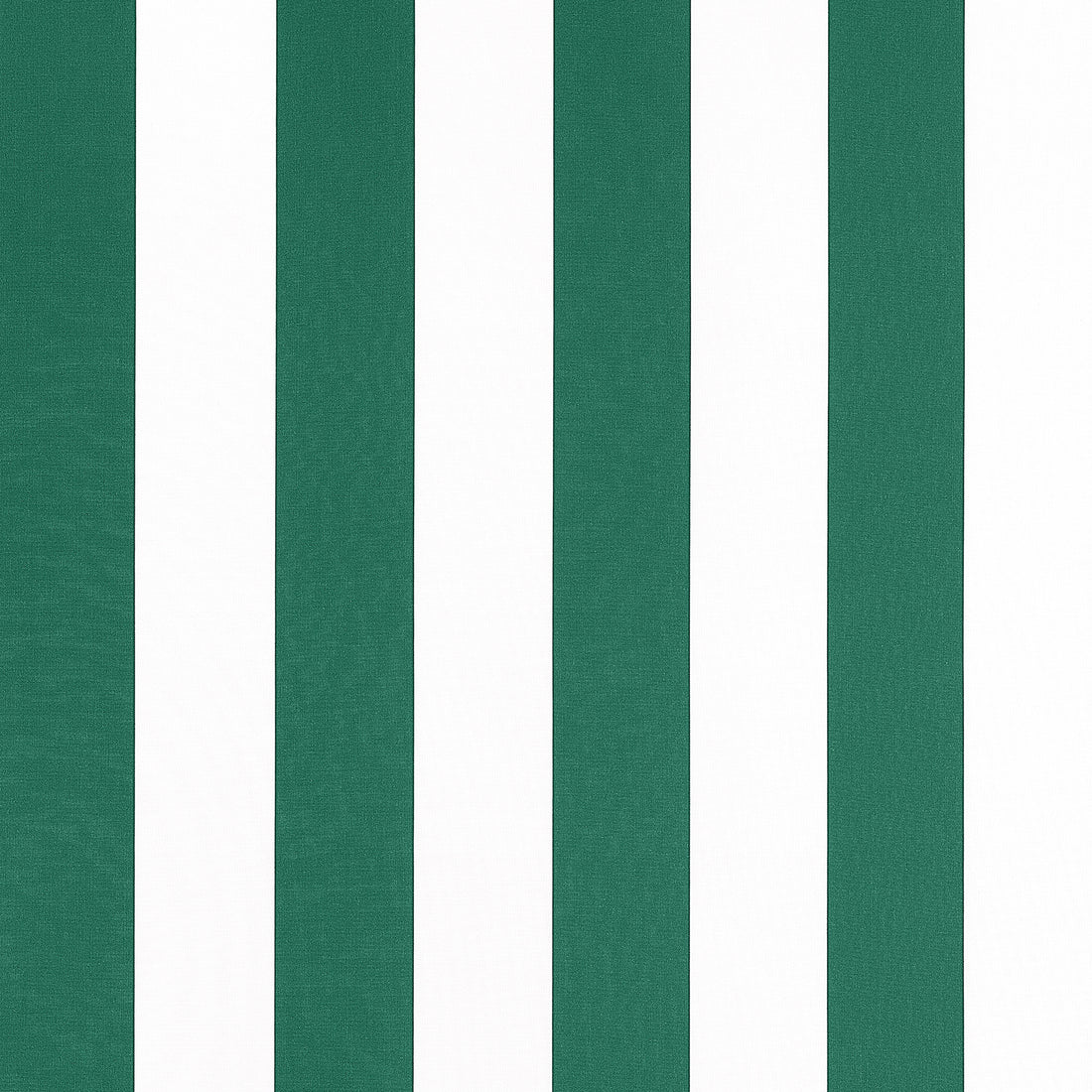 Cabana Stripe fabric in forest color - pattern number W81637 - by Thibaut in the Locale collection