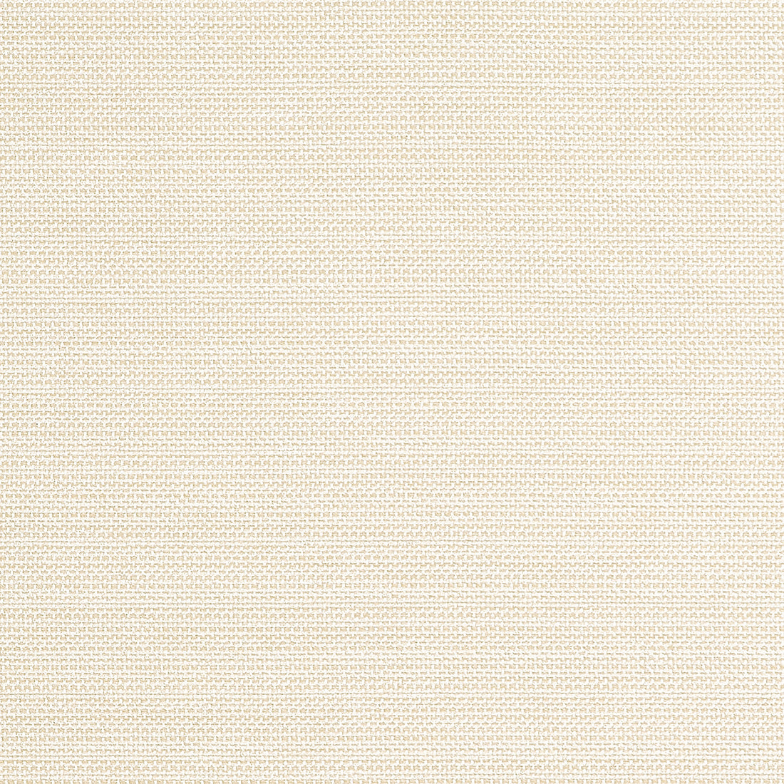 Cameron fabric in sand color - pattern number W81645 - by Thibaut in the Locale collection