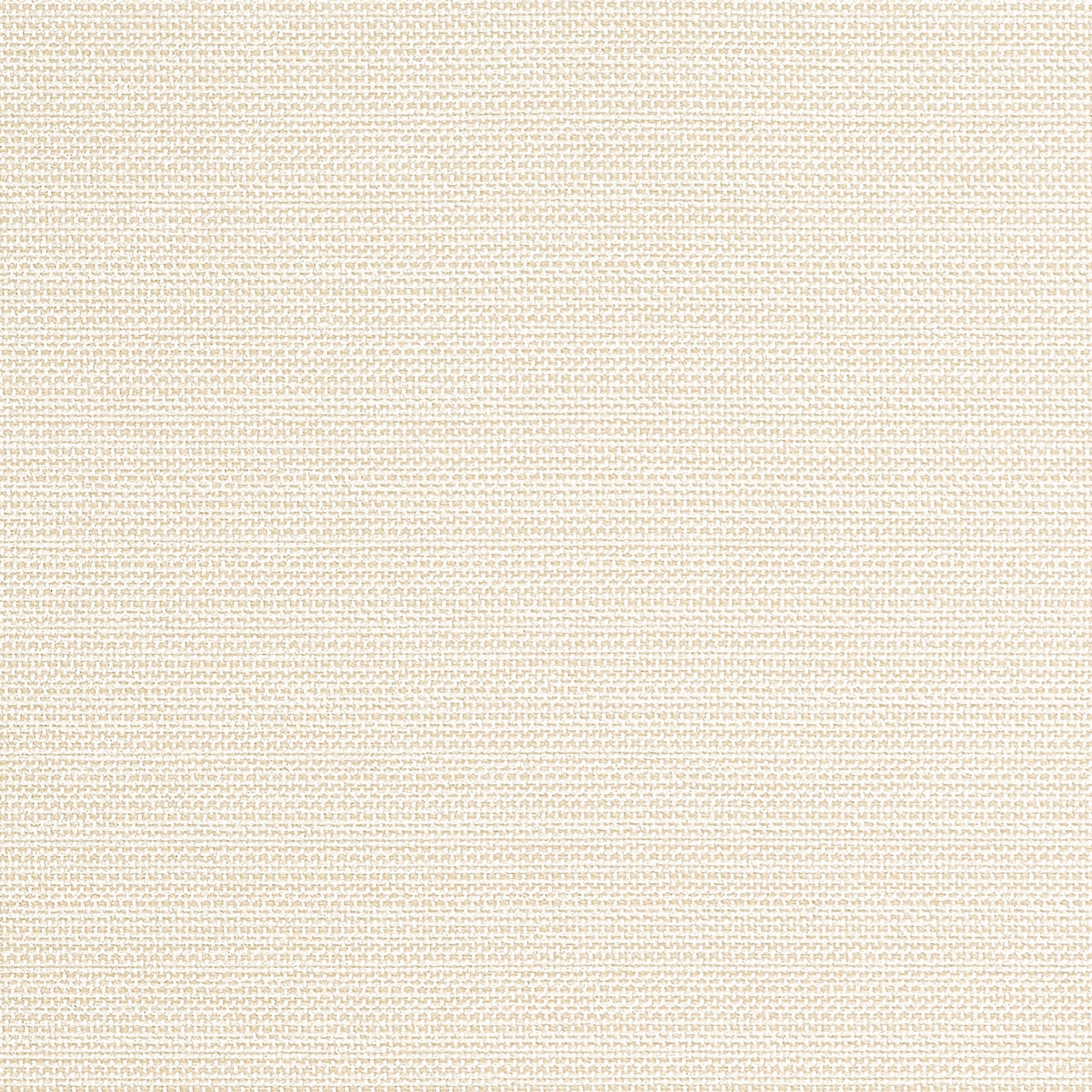 Cameron fabric in sand color - pattern number W81645 - by Thibaut in the Locale collection