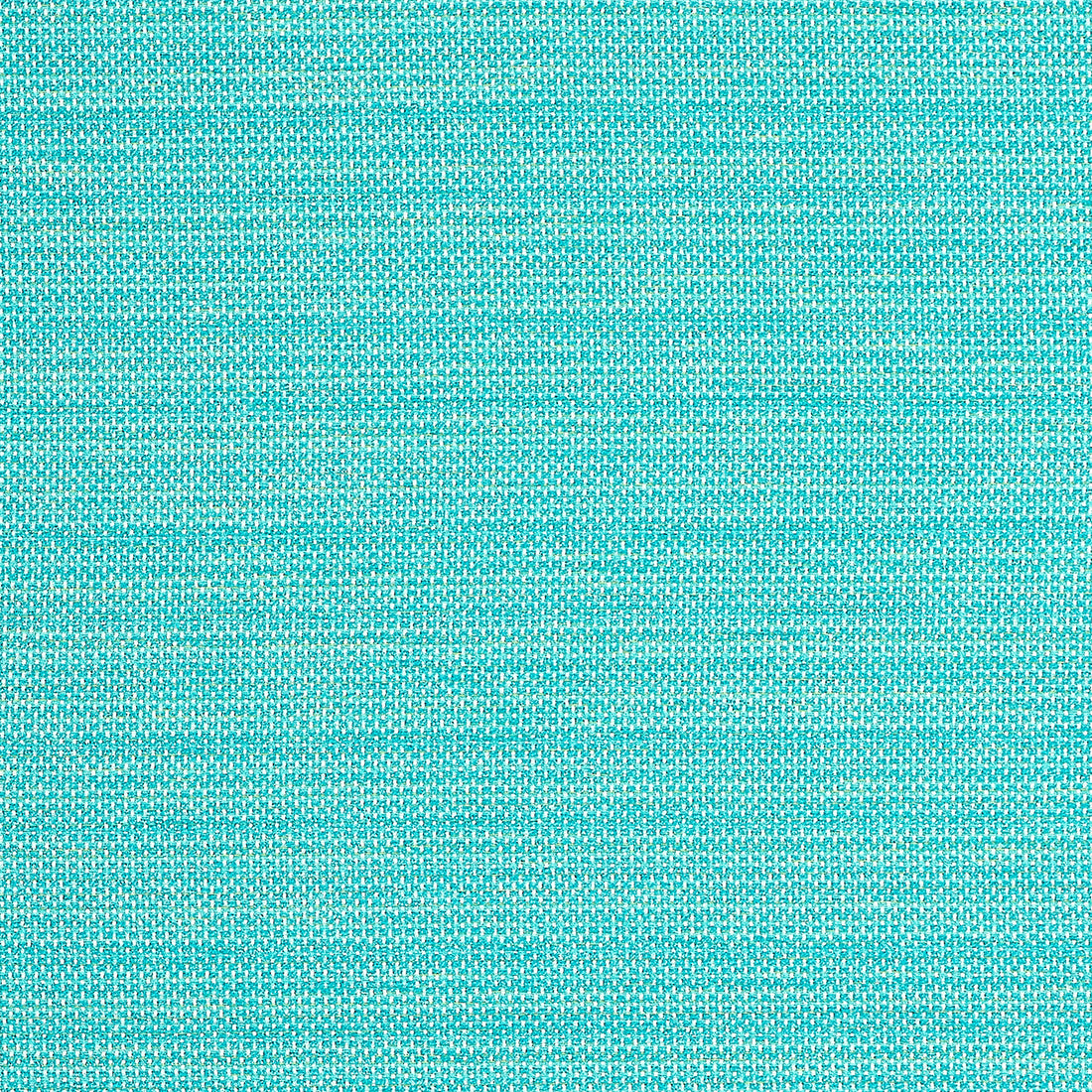 Cameron fabric in capri color - pattern number W81647 - by Thibaut in the Locale collection