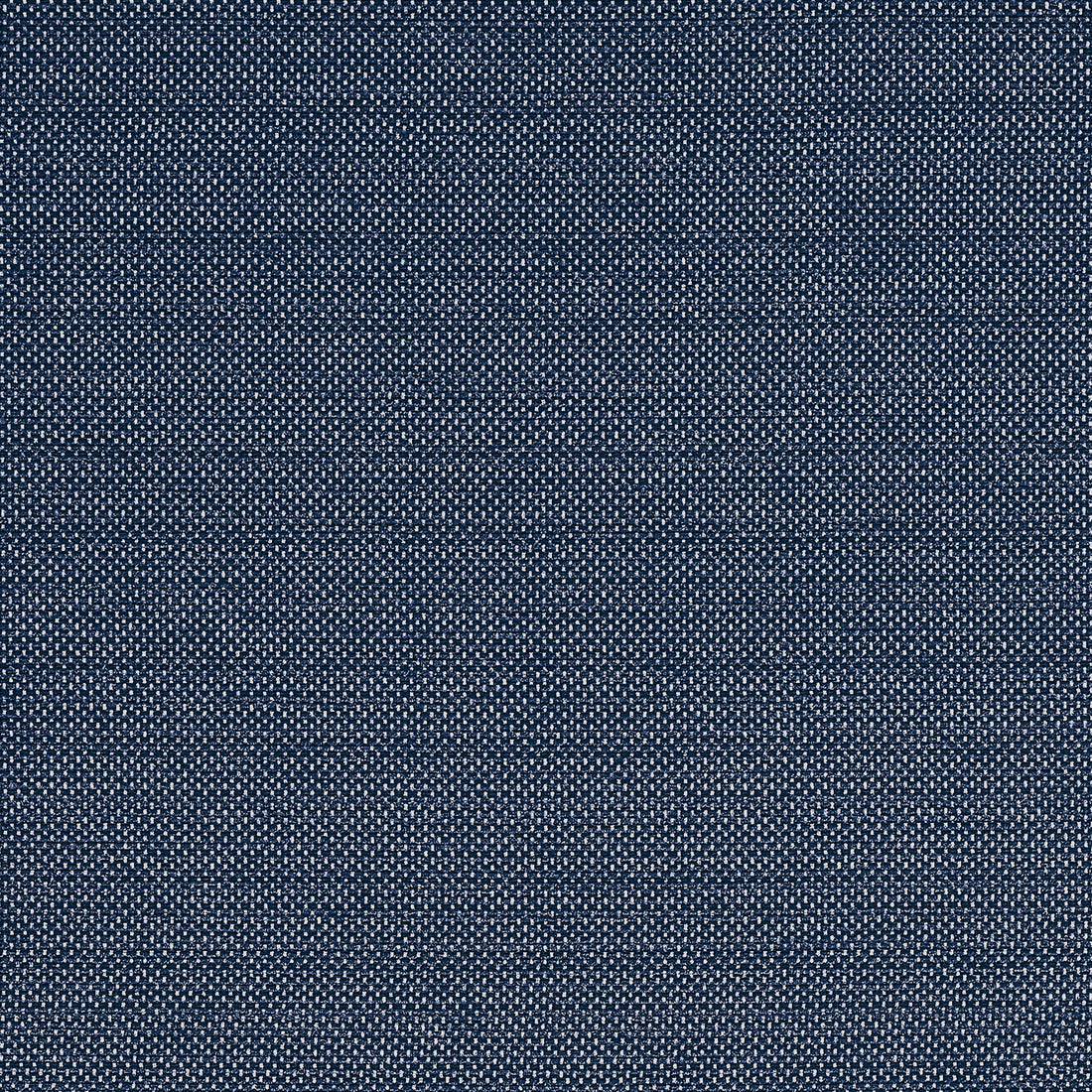 Cameron fabric in navy color - pattern number W81649 - by Thibaut in the Locale collection