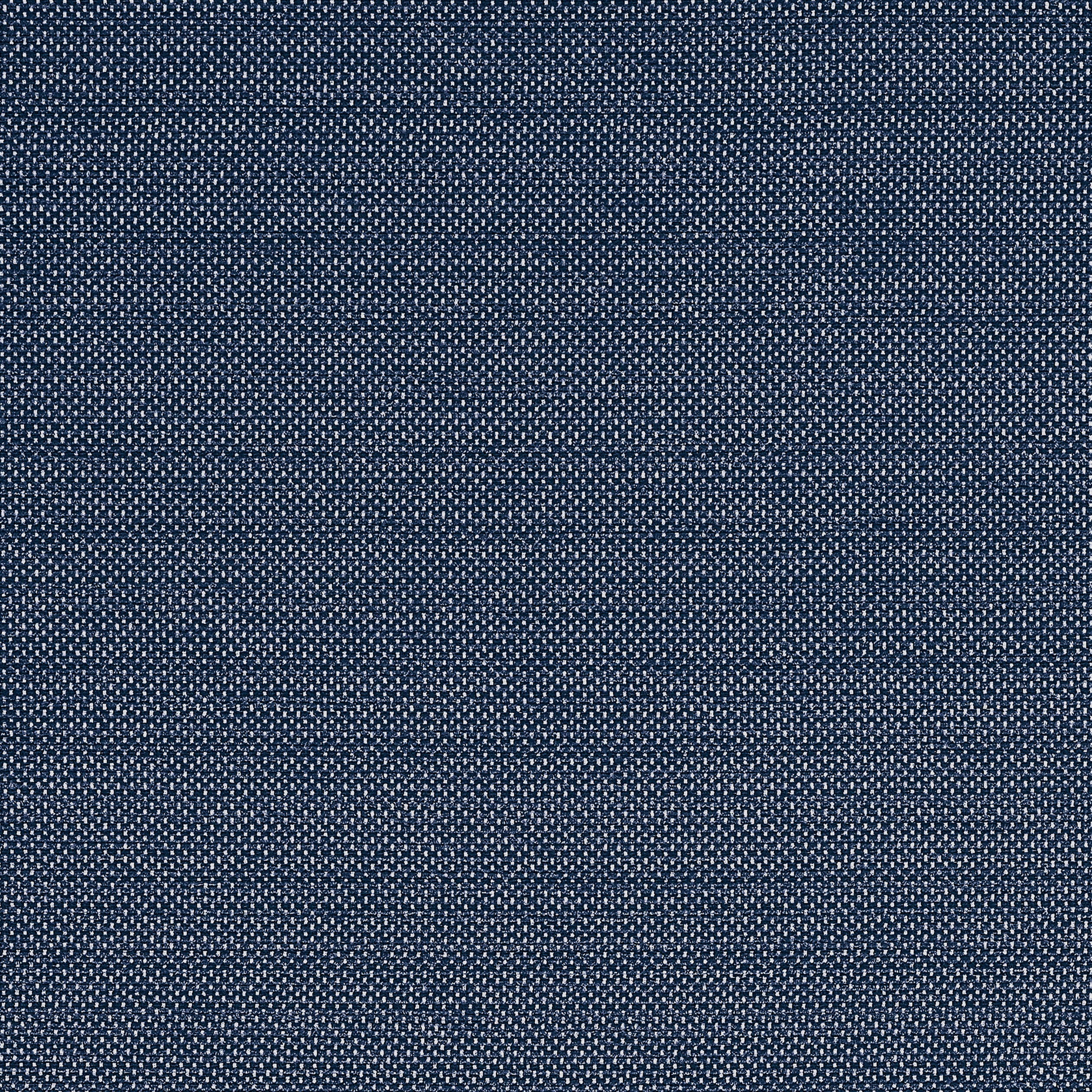 Cameron fabric in navy color - pattern number W81649 - by Thibaut in the Locale collection