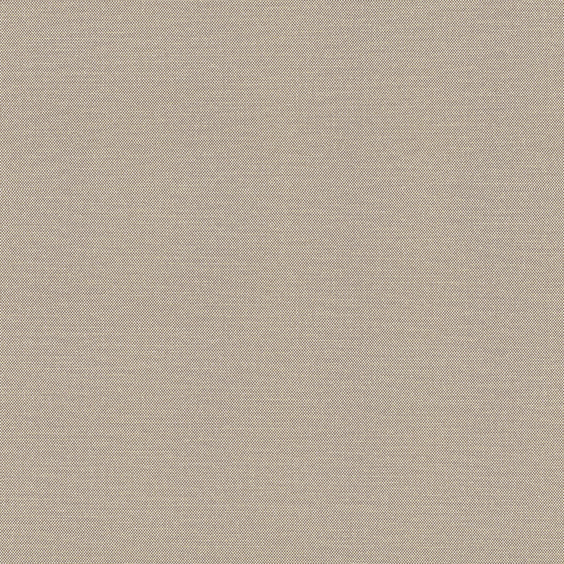 Tessa fabric in jute color - pattern number W81652 - by Thibaut in the Locale collection