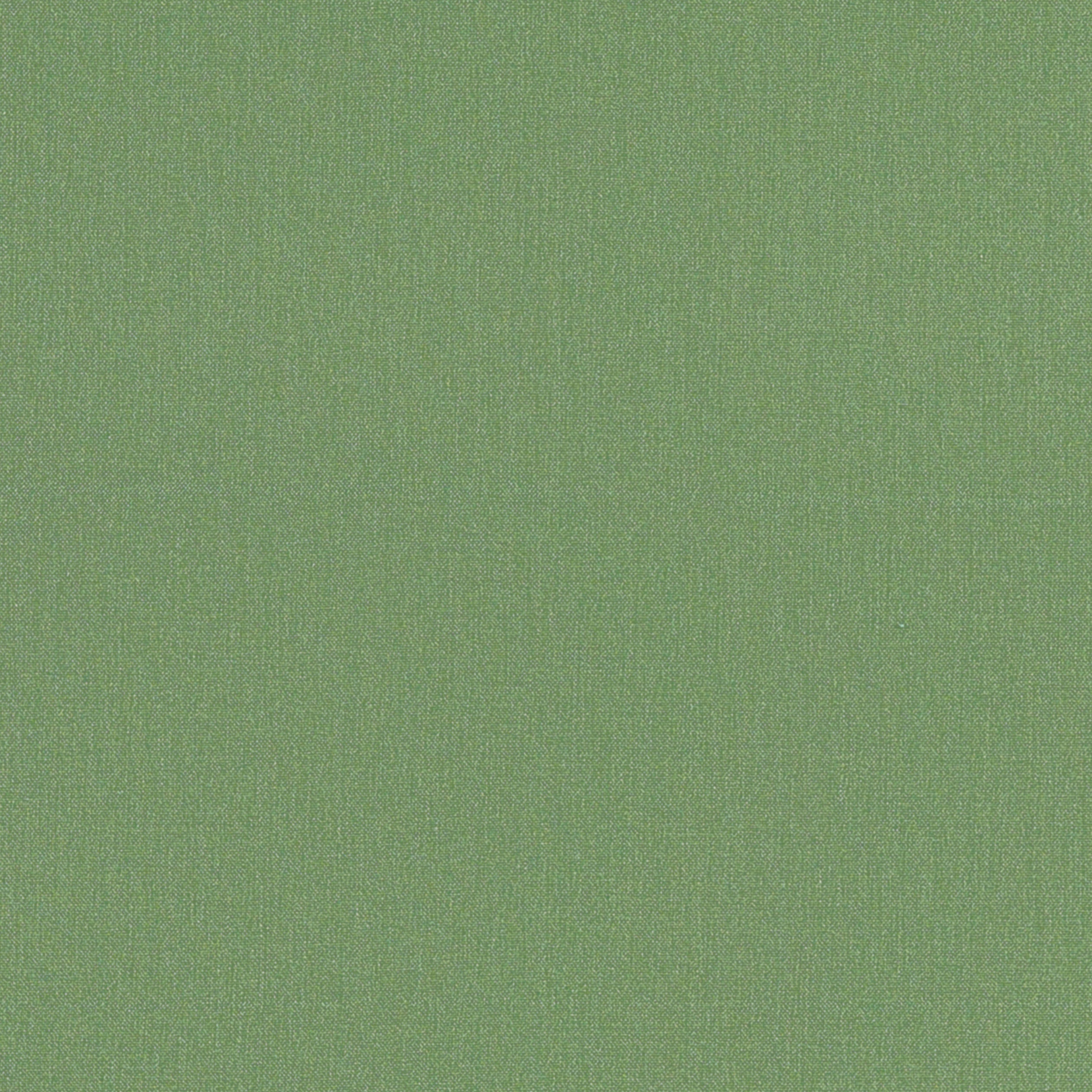 Tessa fabric in clover color - pattern number W81654 - by Thibaut in the Locale collection