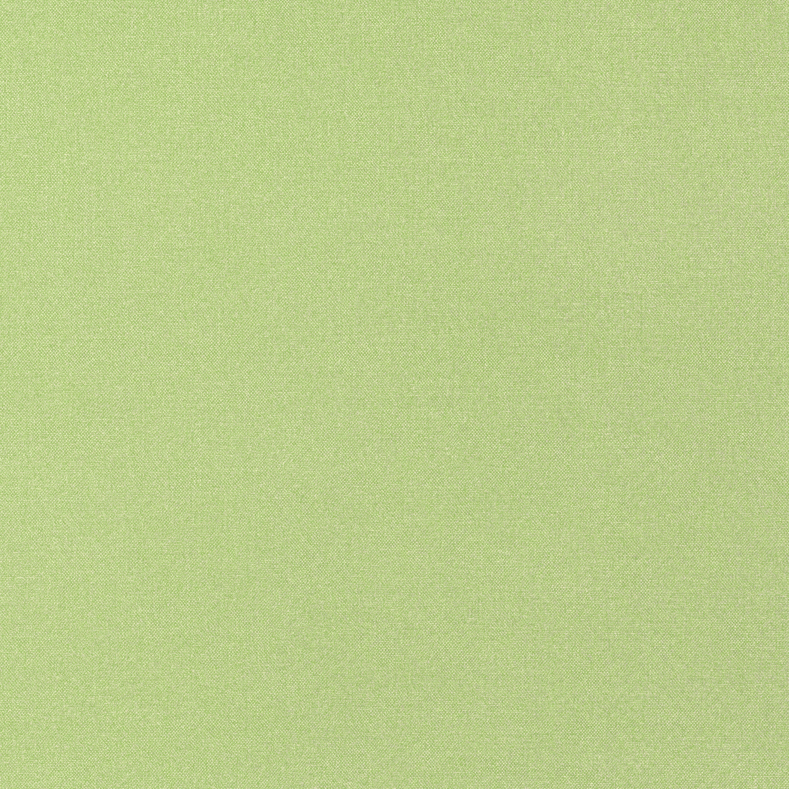 Tessa fabric in kiwi color - pattern number W81656 - by Thibaut in the Locale collection