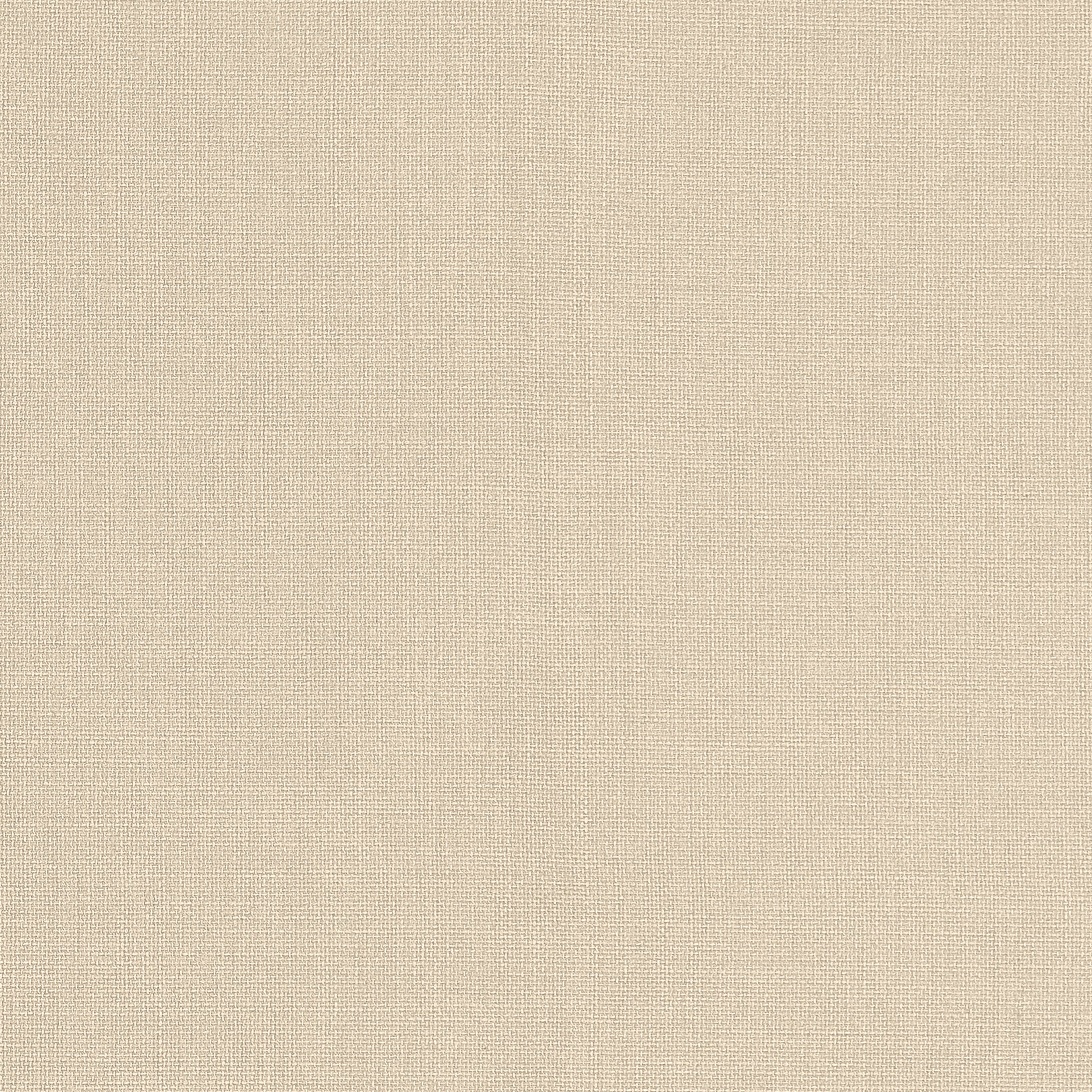 Brynn fabric in sand color - pattern number W81679 - by Thibaut in the Locale collection