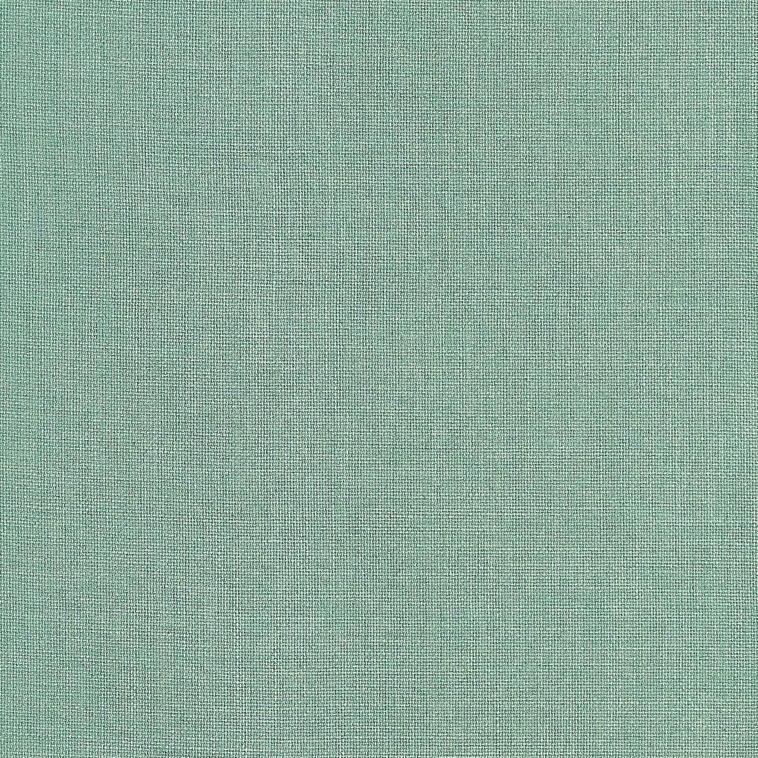 Brynn fabric in jade color - pattern number W81682 - by Thibaut in the Locale collection