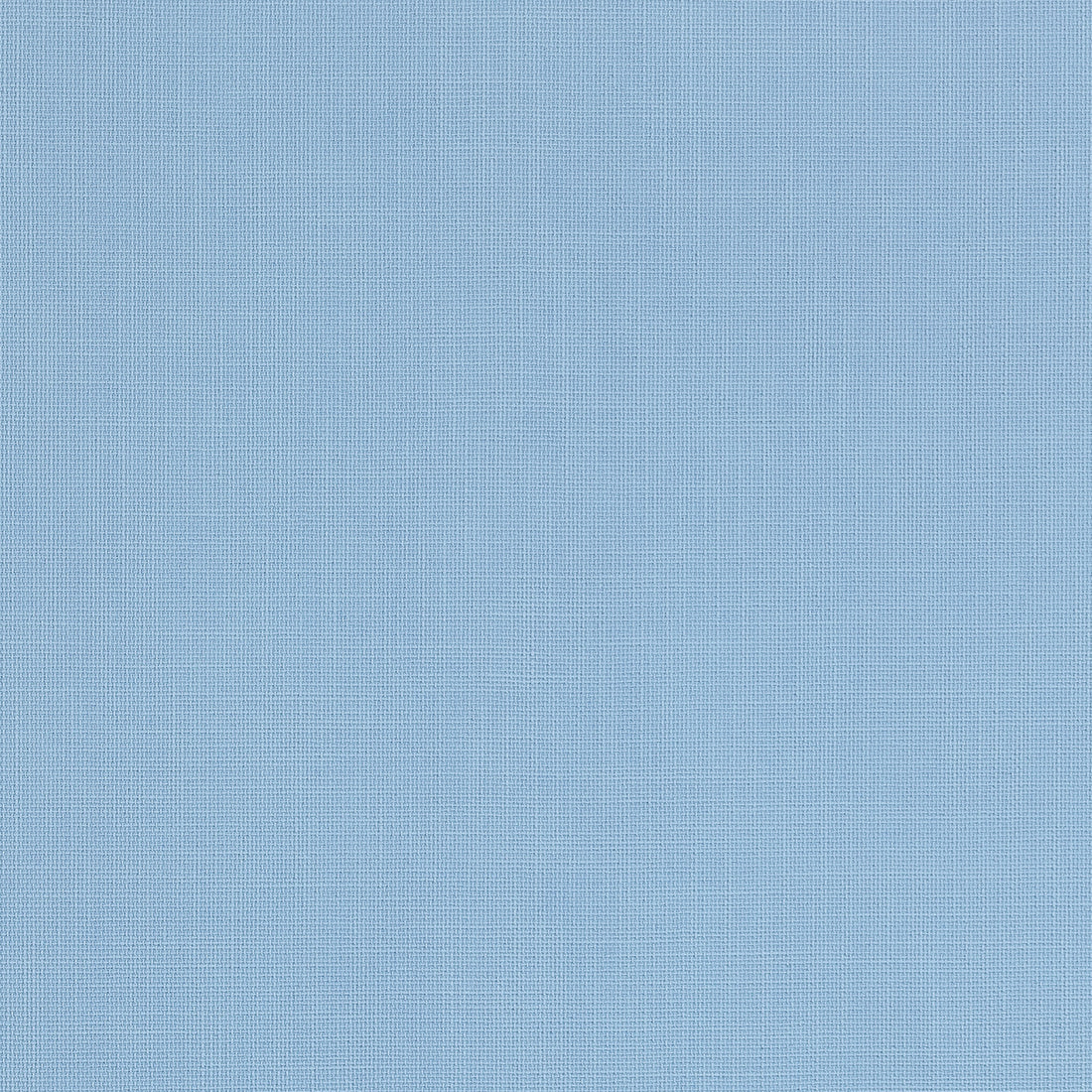 Brynn fabric in sky color - pattern number W81683 - by Thibaut in the Locale collection